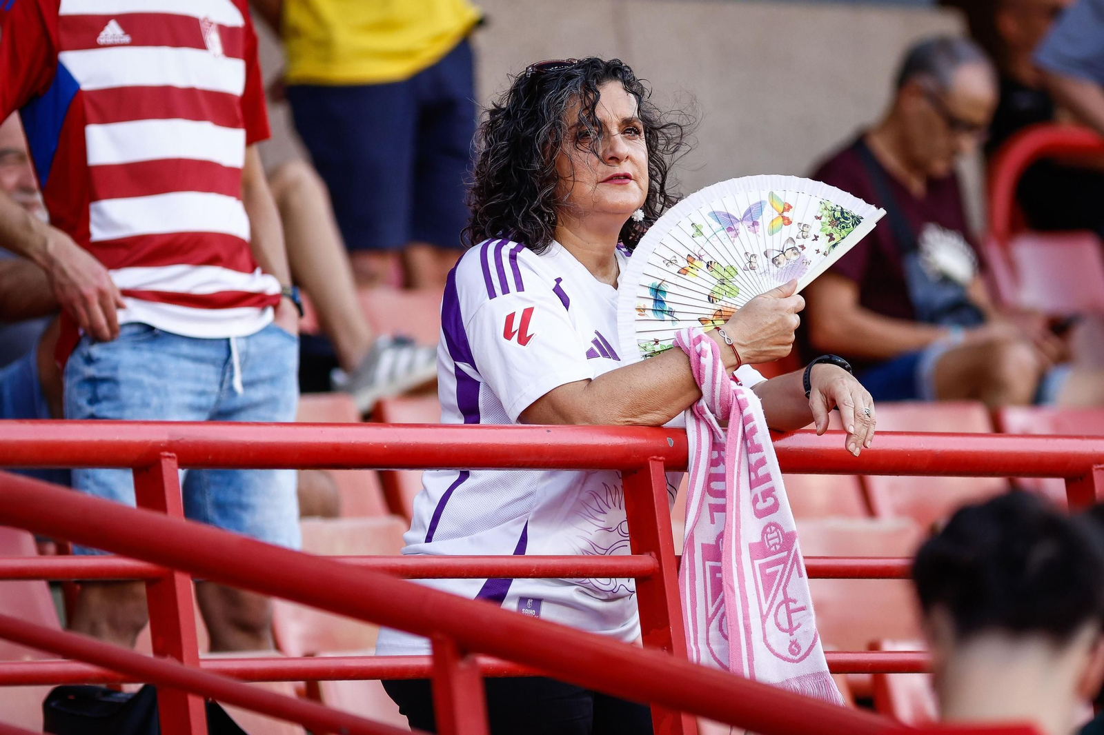 Aficionados del Granada en un partido en el Nuevo Los Cármenes