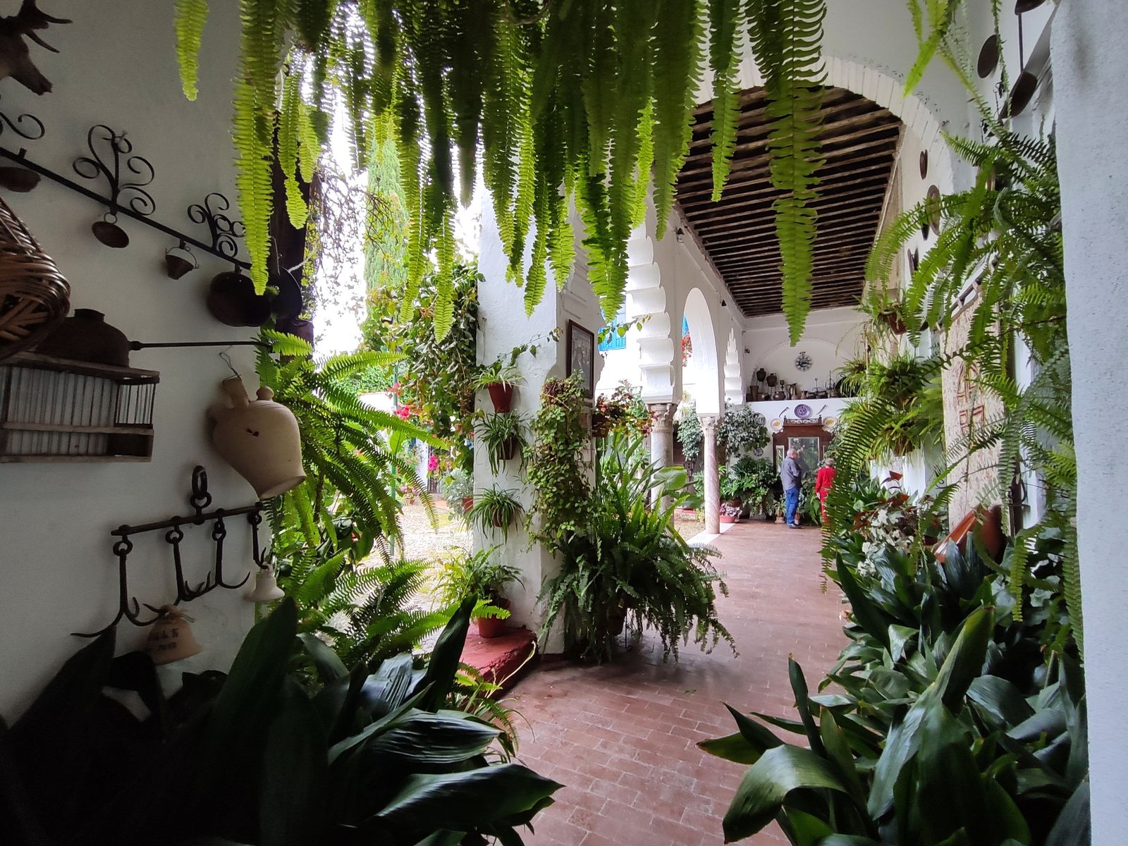 Los Patios  de Córdoba en tiempos de crisis: Siete Revueltas, 1