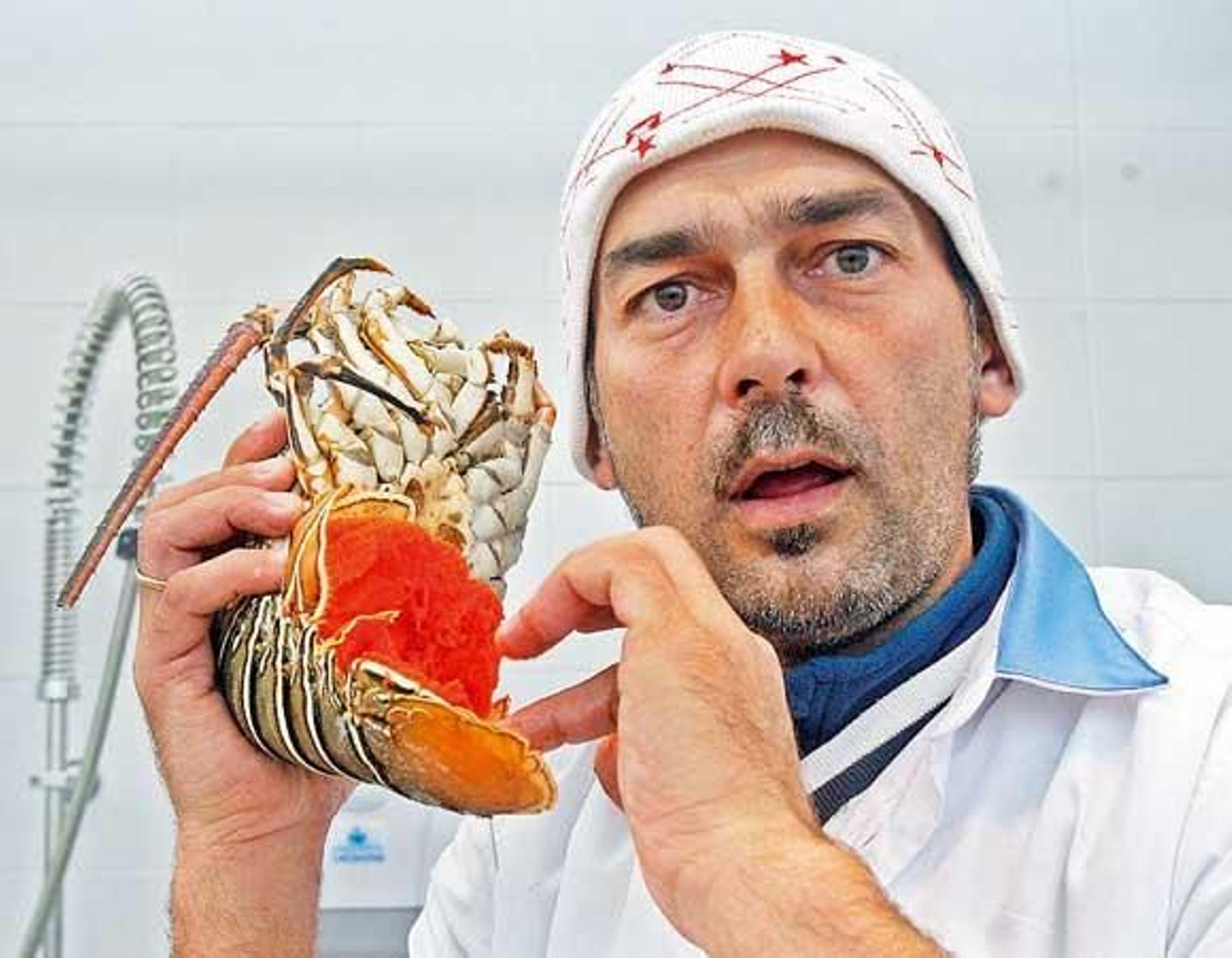 Pescadería Rodríguez Aráuz
Puesto 132
Propietaria: Yolanda Arauz Díaz. Su marido, Juan Antonio Rodríguez, trabaja con ella en el mercado
Género: Langostinos tigres y gambas blancas 
Langostinos tigres, gambas blancas, calamares, chocos, pulpos, pescadilla... El género que venden Yolanda Arauz y su marido José Antonio Rodríguez es un auténtico paladar para los sentidos.
Como expertos detallistas que son, este matrimonio asesora a su clientela y la aconseja sobre la mejor forma de preparar el pescado o cocer el marisco. Se puede decir que instruyen a su público desde el punto de vista gastronómico.

Foto: Joaquin Pino