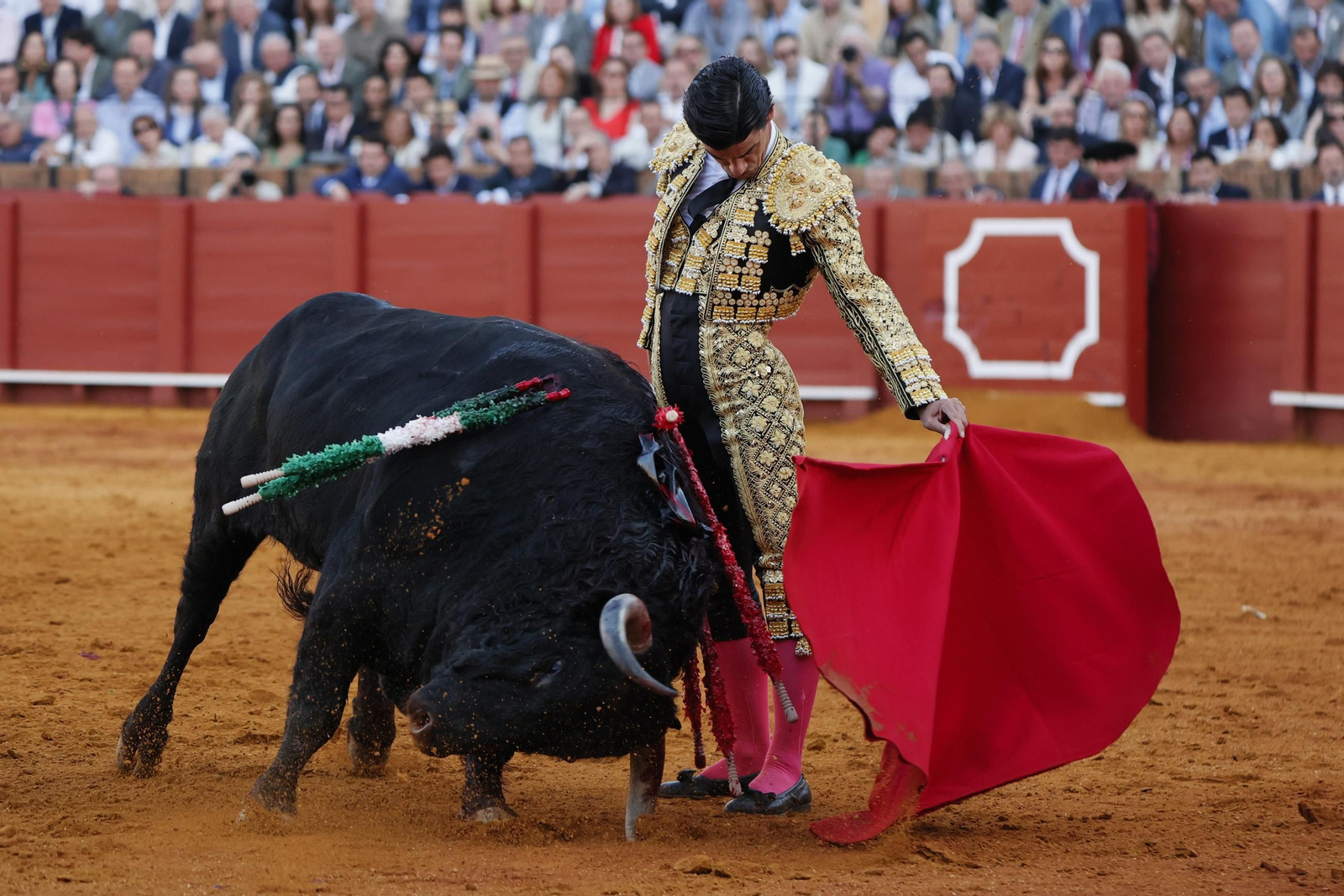 Las imágenes de la corrida