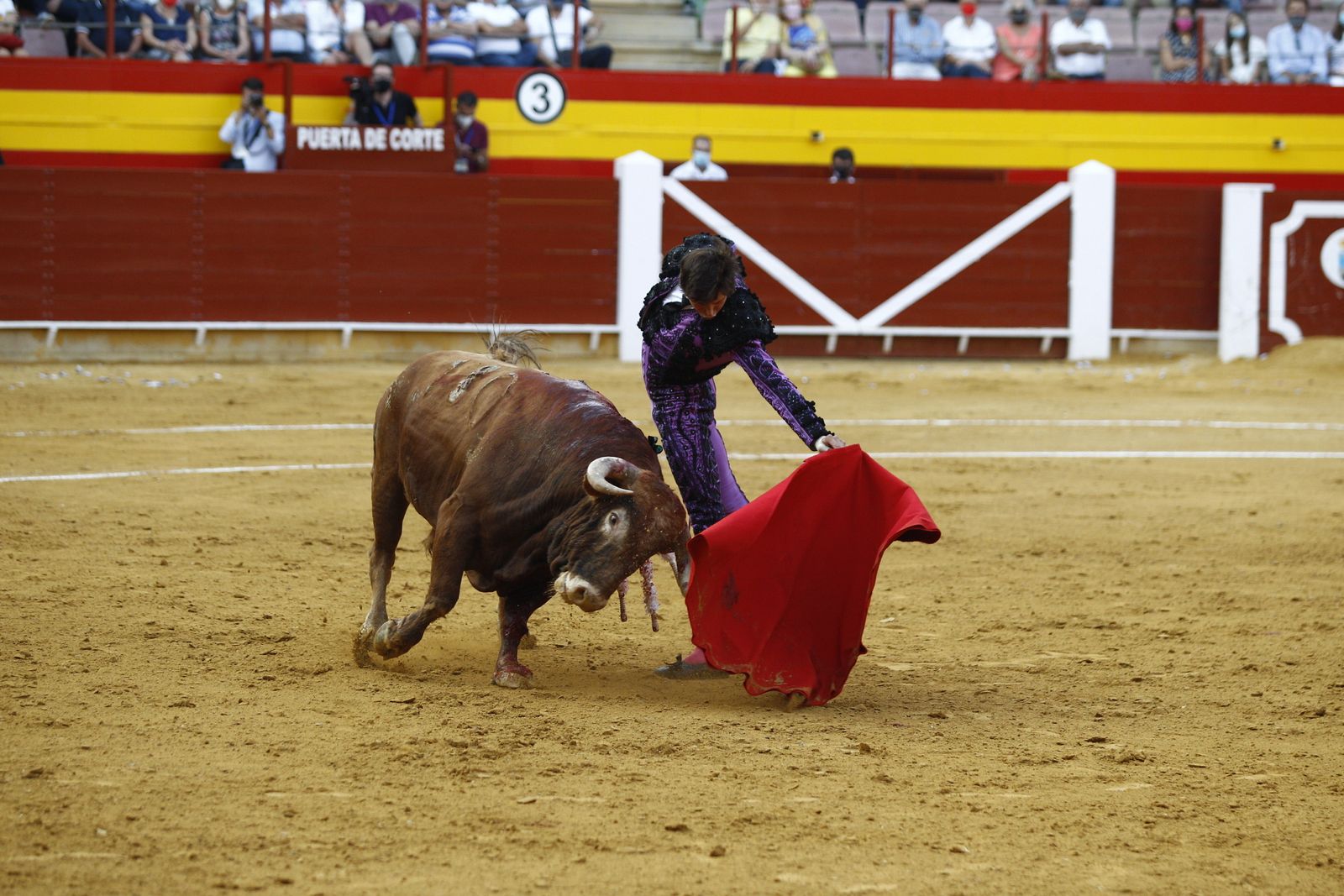 Fotogalería corrida de toros. Cayetano Rivera, Paco Ureña y Roca Rey. Roquetas de Mar.