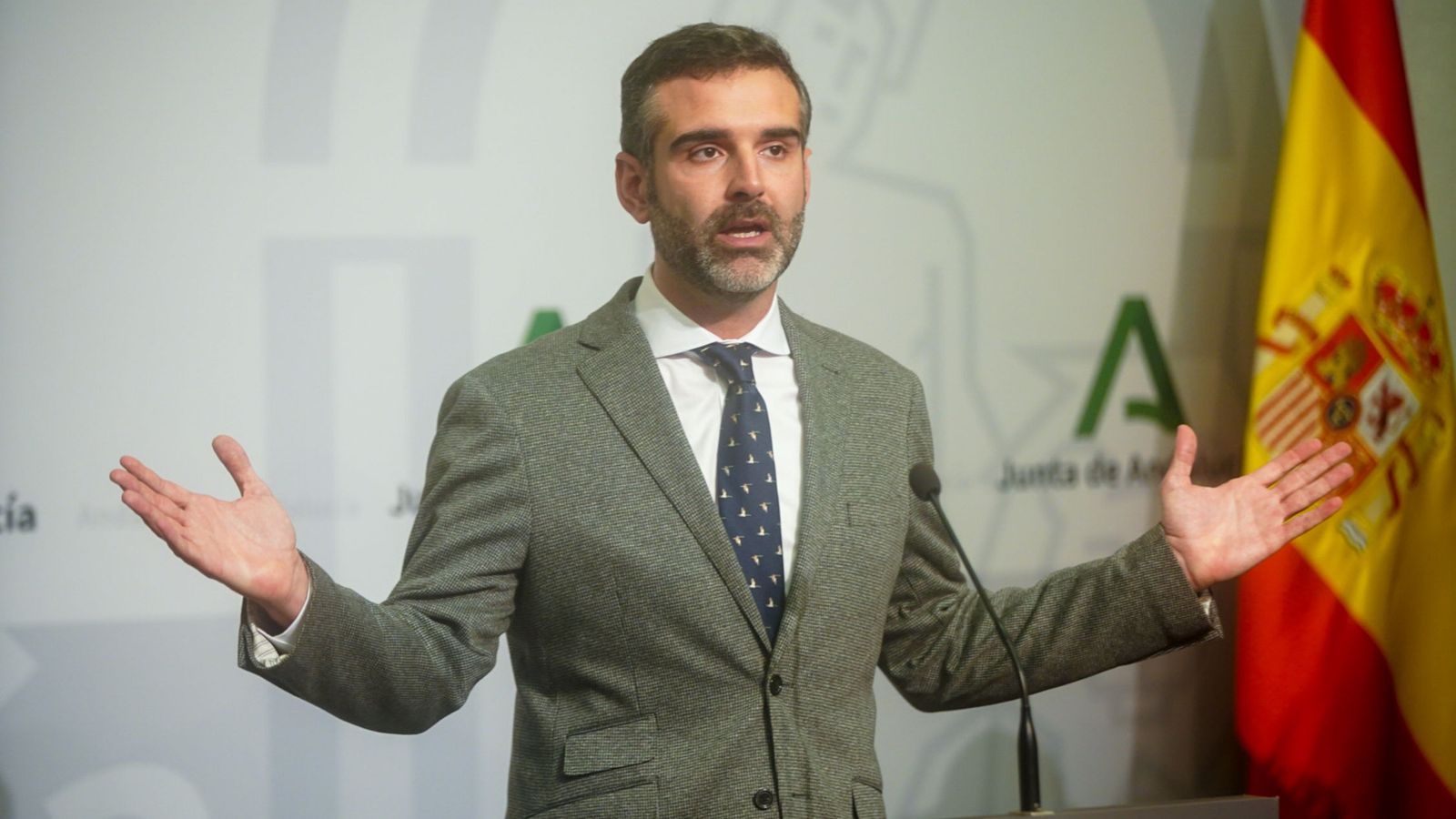 El portavoz del Ejecutivo, Ramón Fernández-Pacheco.