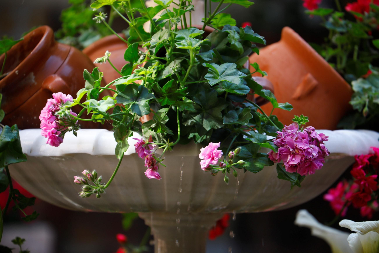 Patio del colegio Nuestra Señora de la Piedad.