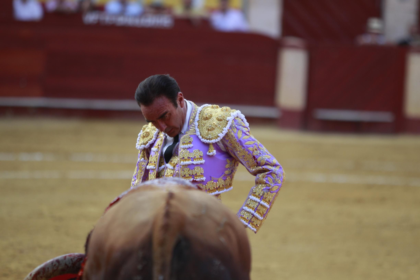 La despedida del torero Enrique Ponce de la Feria de Almería 2024, en imágenes