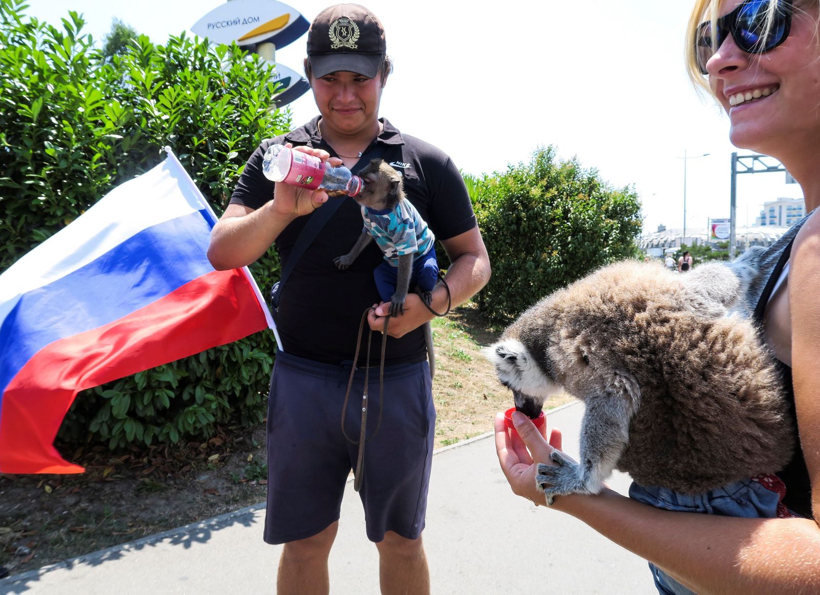 Aficionados rusos se divierten con sus mascotas en Sochi.