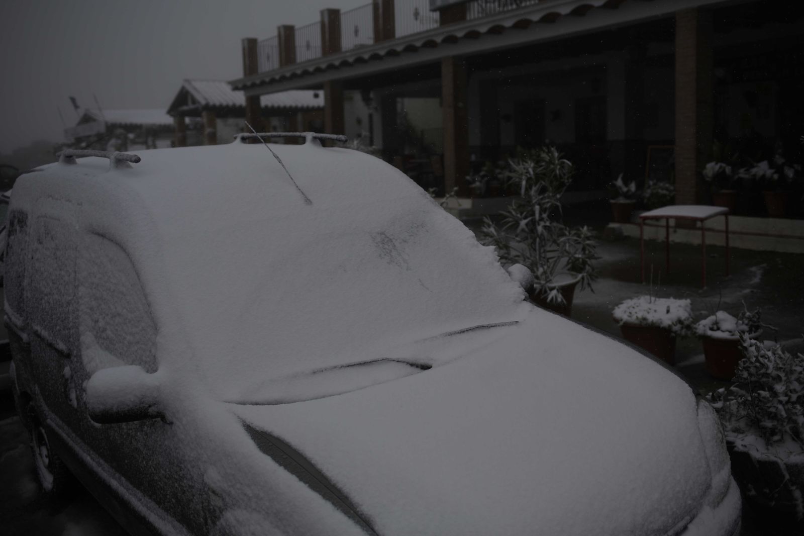 La nevada en el interior de Málaga, en imágenes