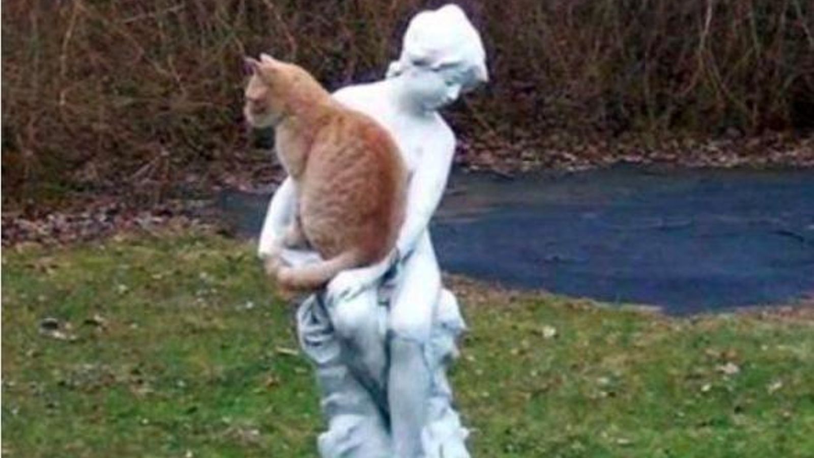 A los gatos les encanta descansar en estatuas