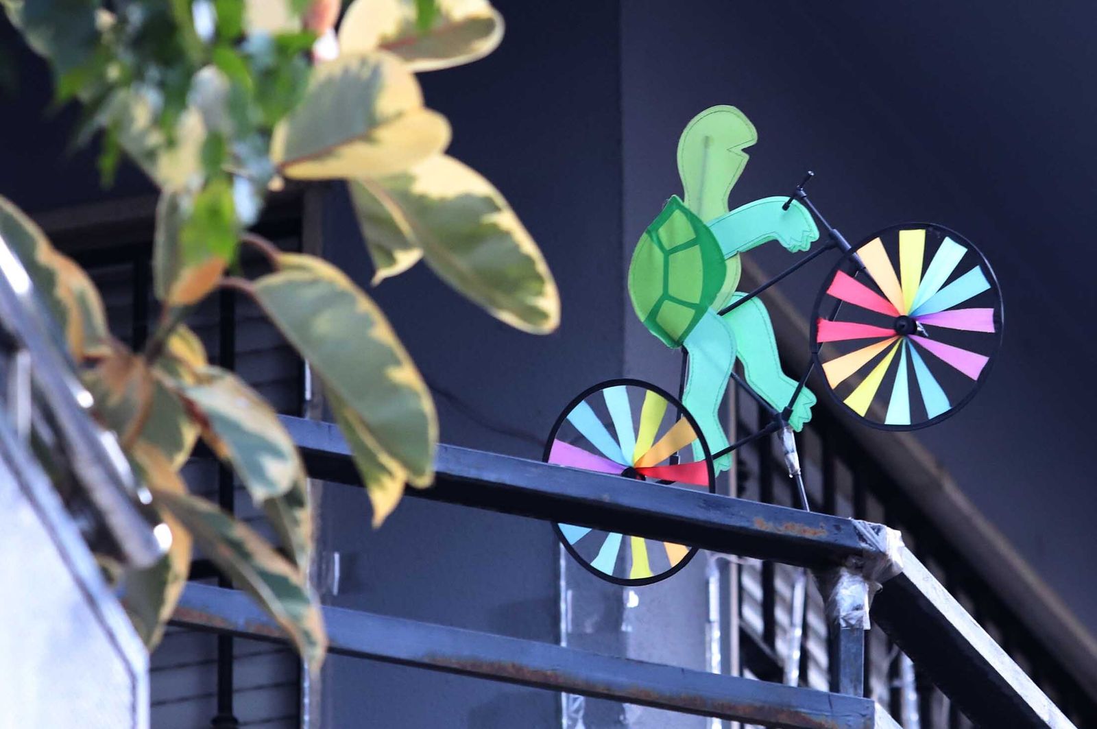 Imágenes del domingo 11 de diciembre en Huelva