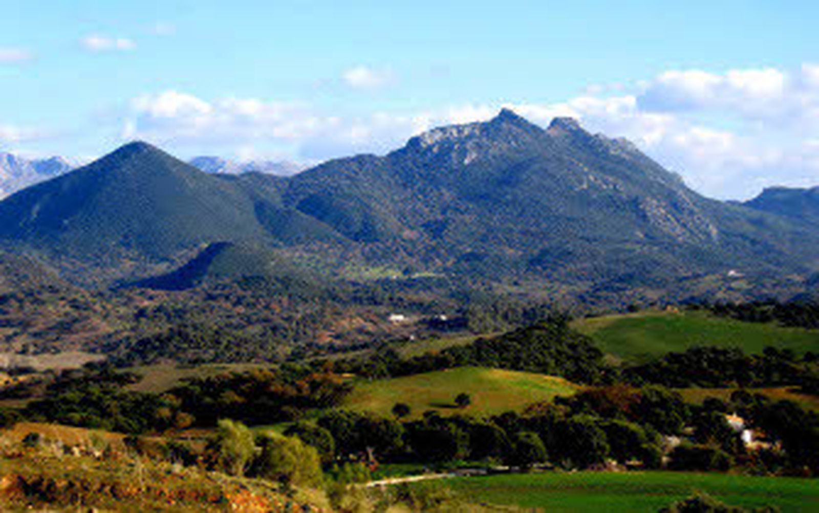 Vista parcial de la Sierra de Grazalema, que es Parque Natural desde 1984, siempre con esa denominación./Ramón Aguilar