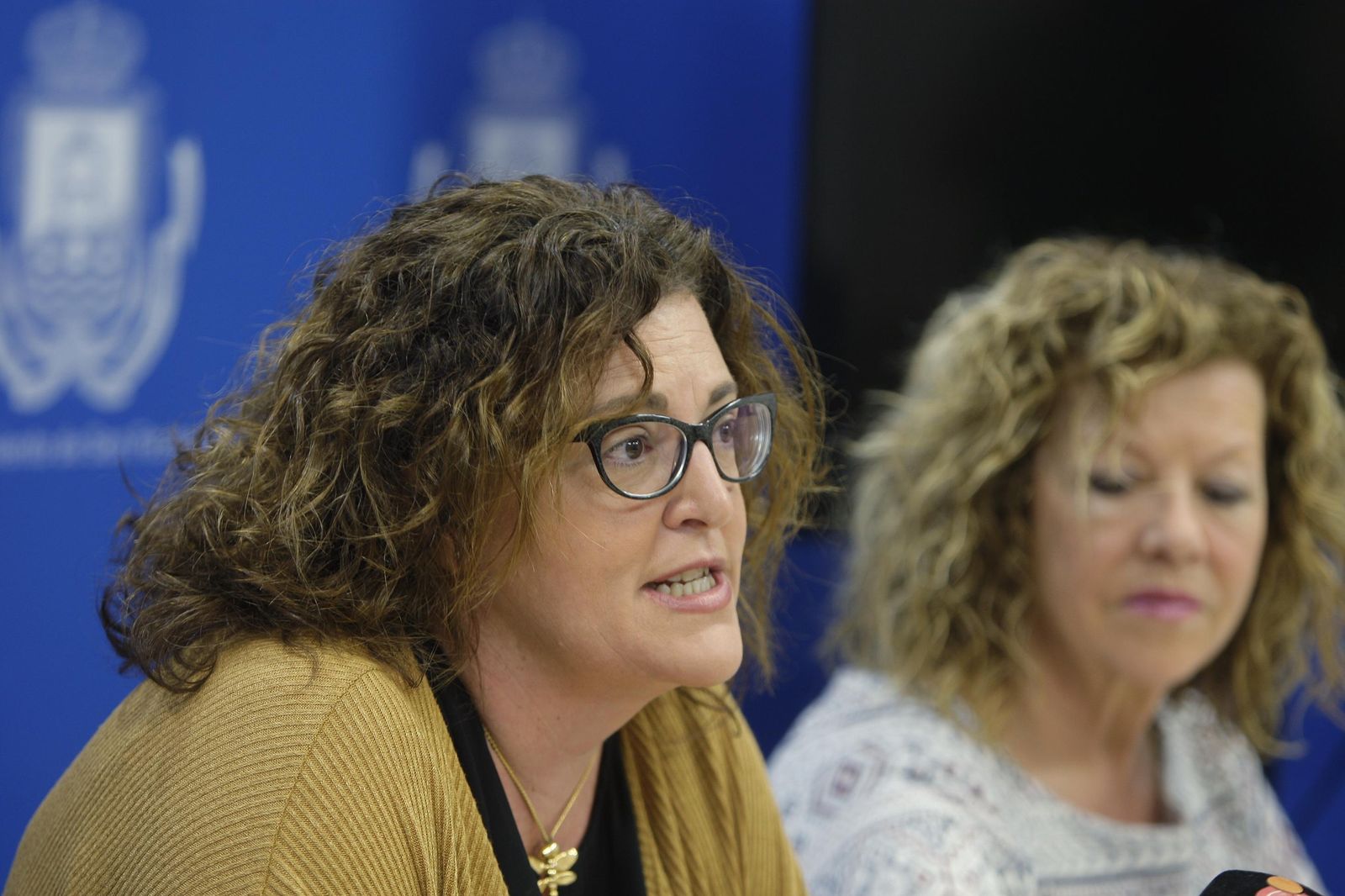 La concejala Ana Lorenzo, en una comparecencia reciente.