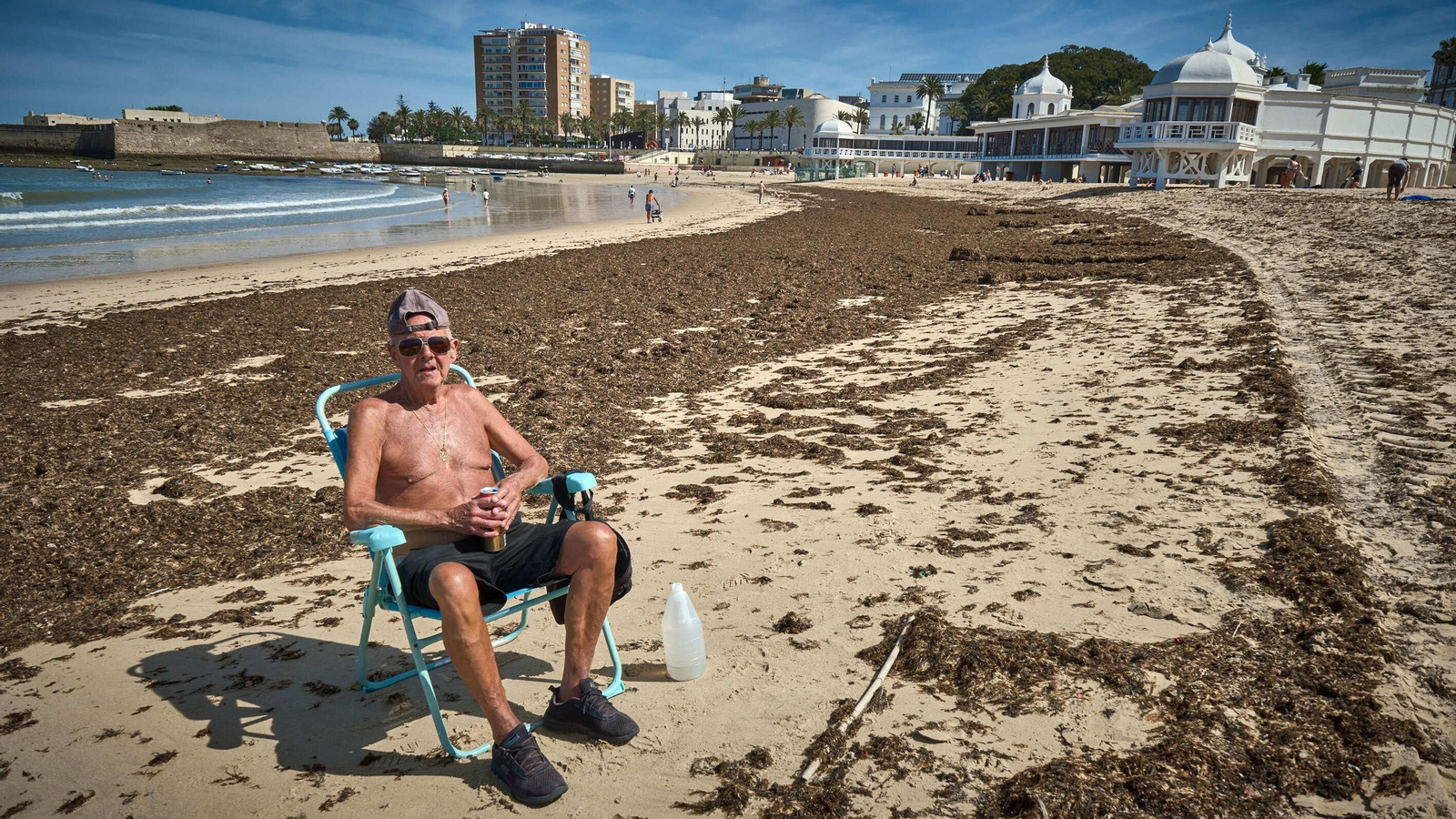 Imágenes: La orilla de la playa de La Caleta, cubierta de algas