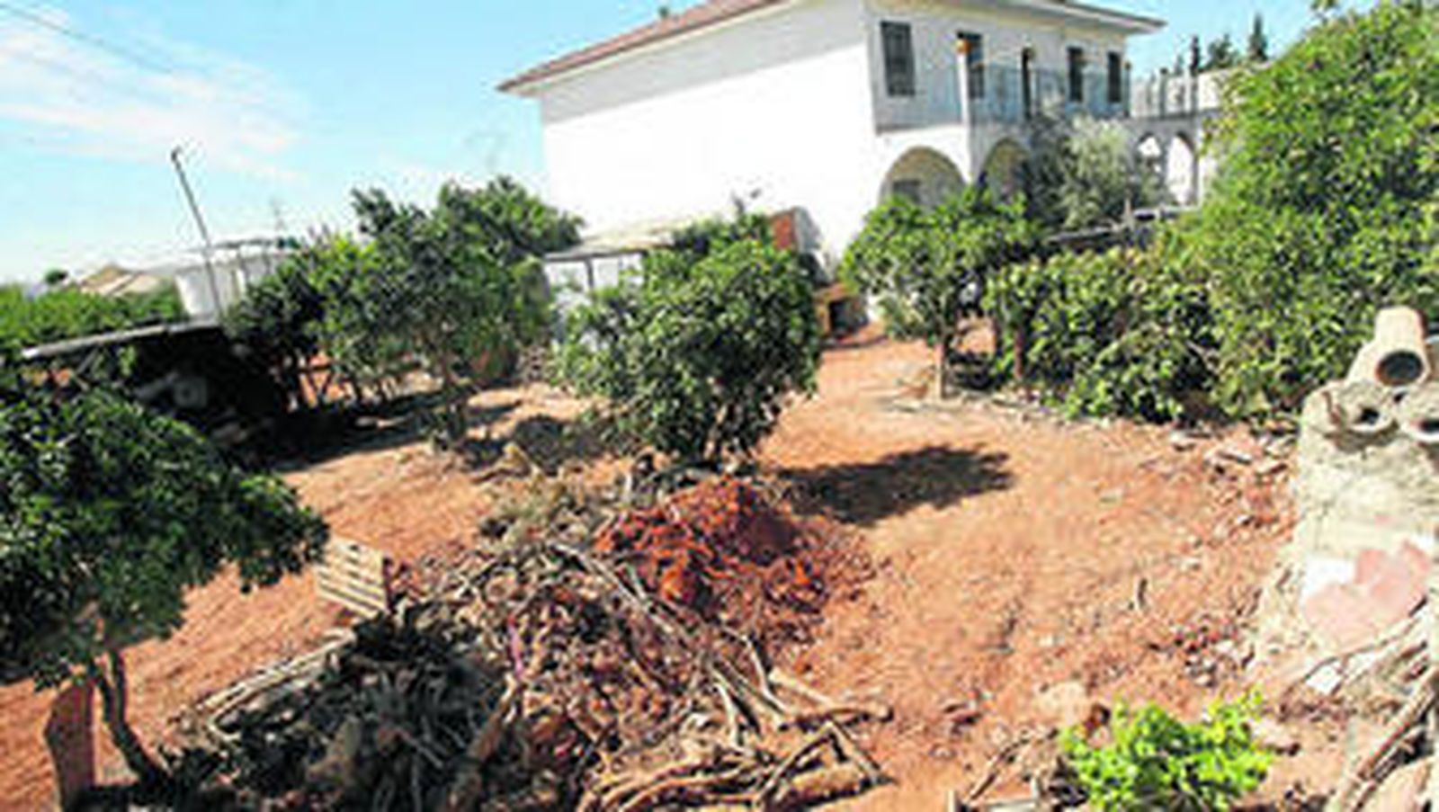 Interior de la parcela de Las Quemadillas, donde se recuperaron los restos biológicos.
