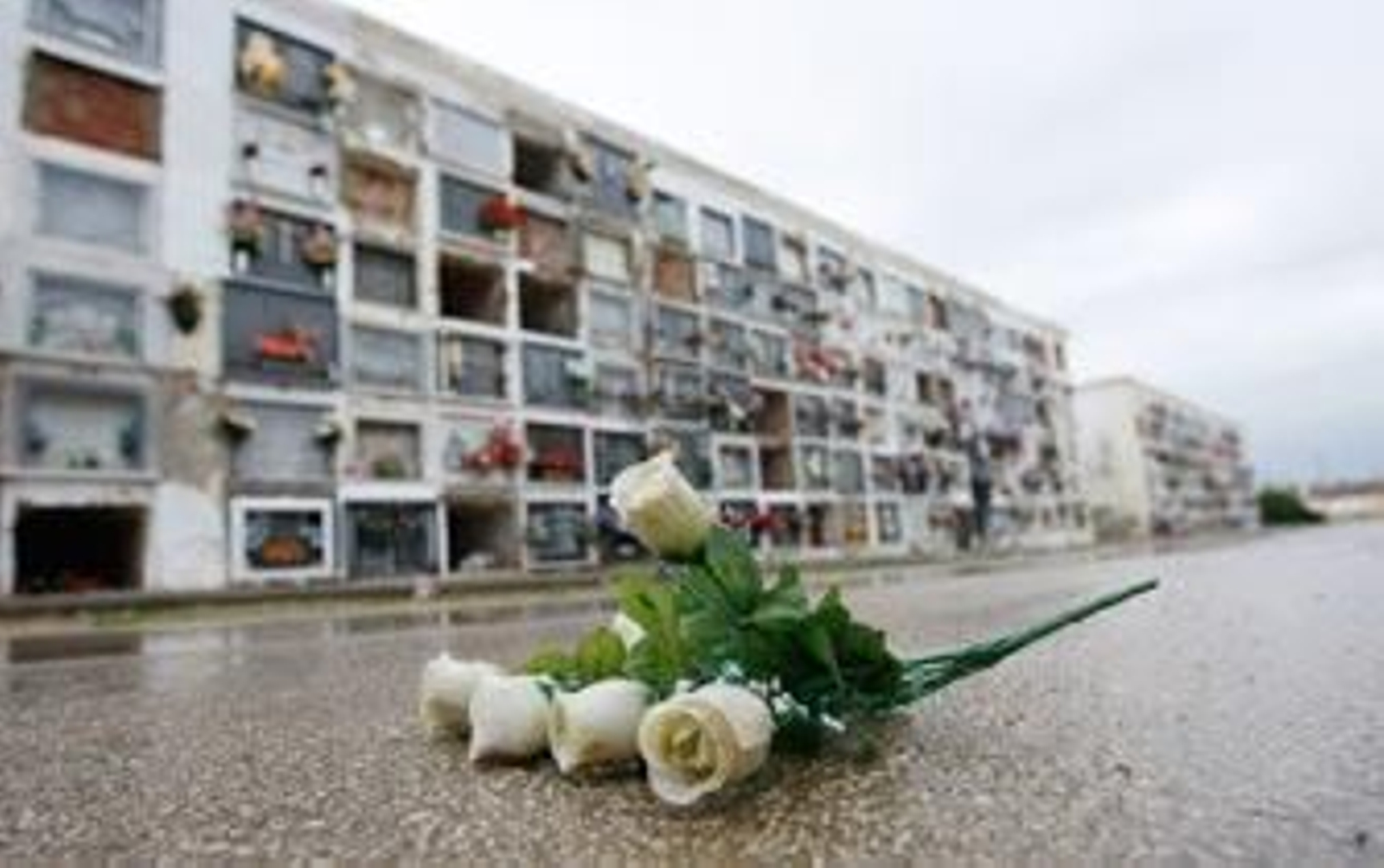 El cementerio tiene 4.000 nichos en ruina y apenas hay ya capacidad