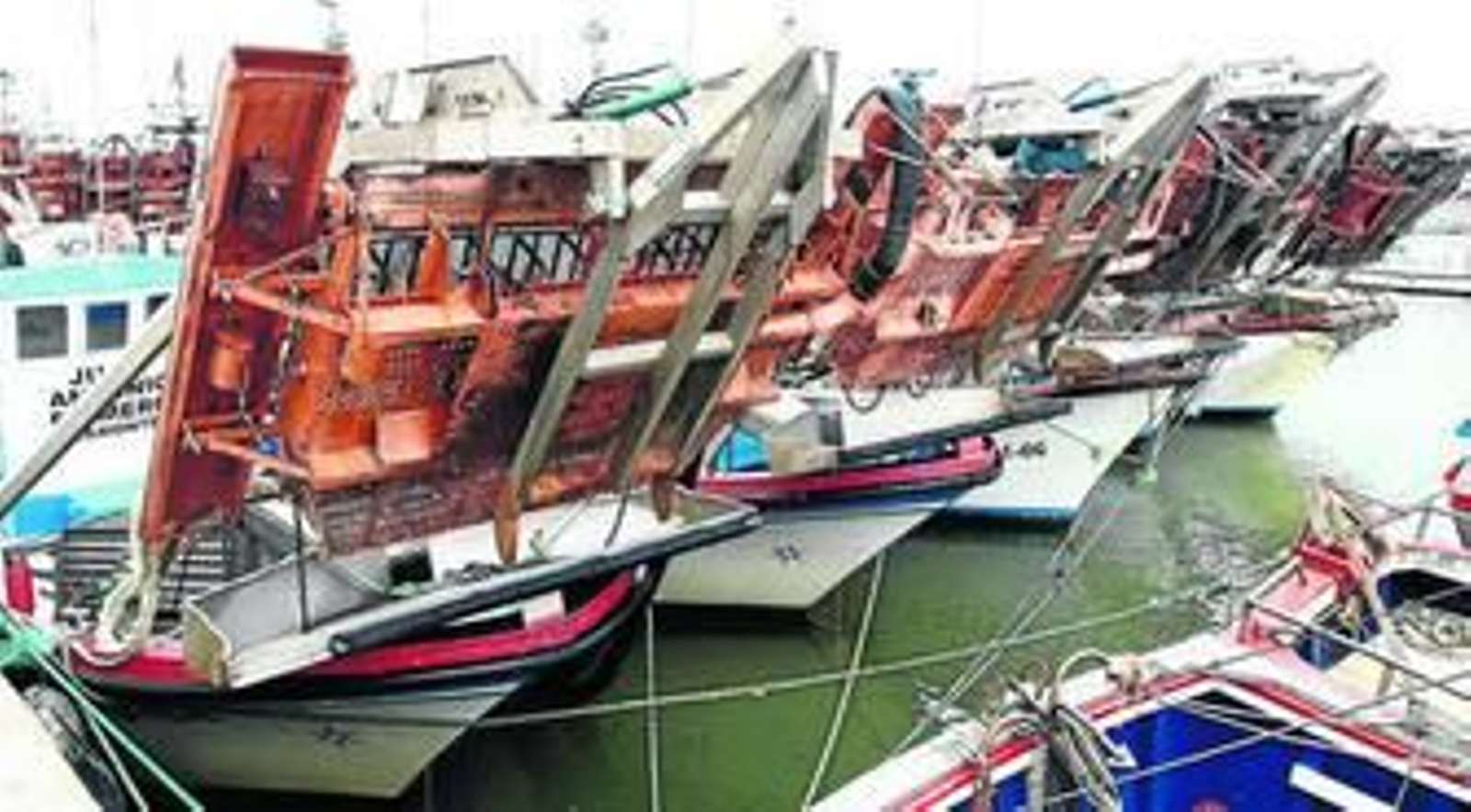 El estudio sobre el caladero de la chirla, en entredicho