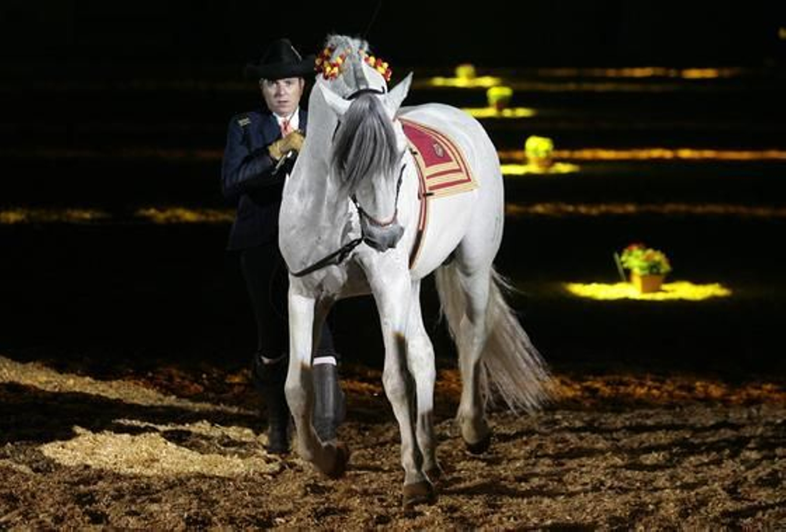 Número de riendas largas por Juan José Verdugo.

Foto: Juan Carlos Muñoz