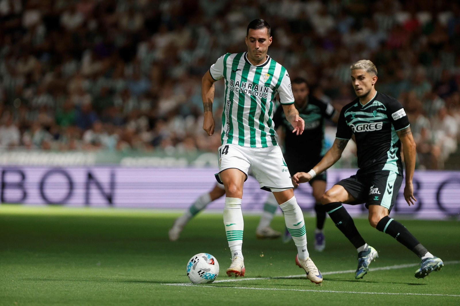 Las fotos del Córdoba - Betis