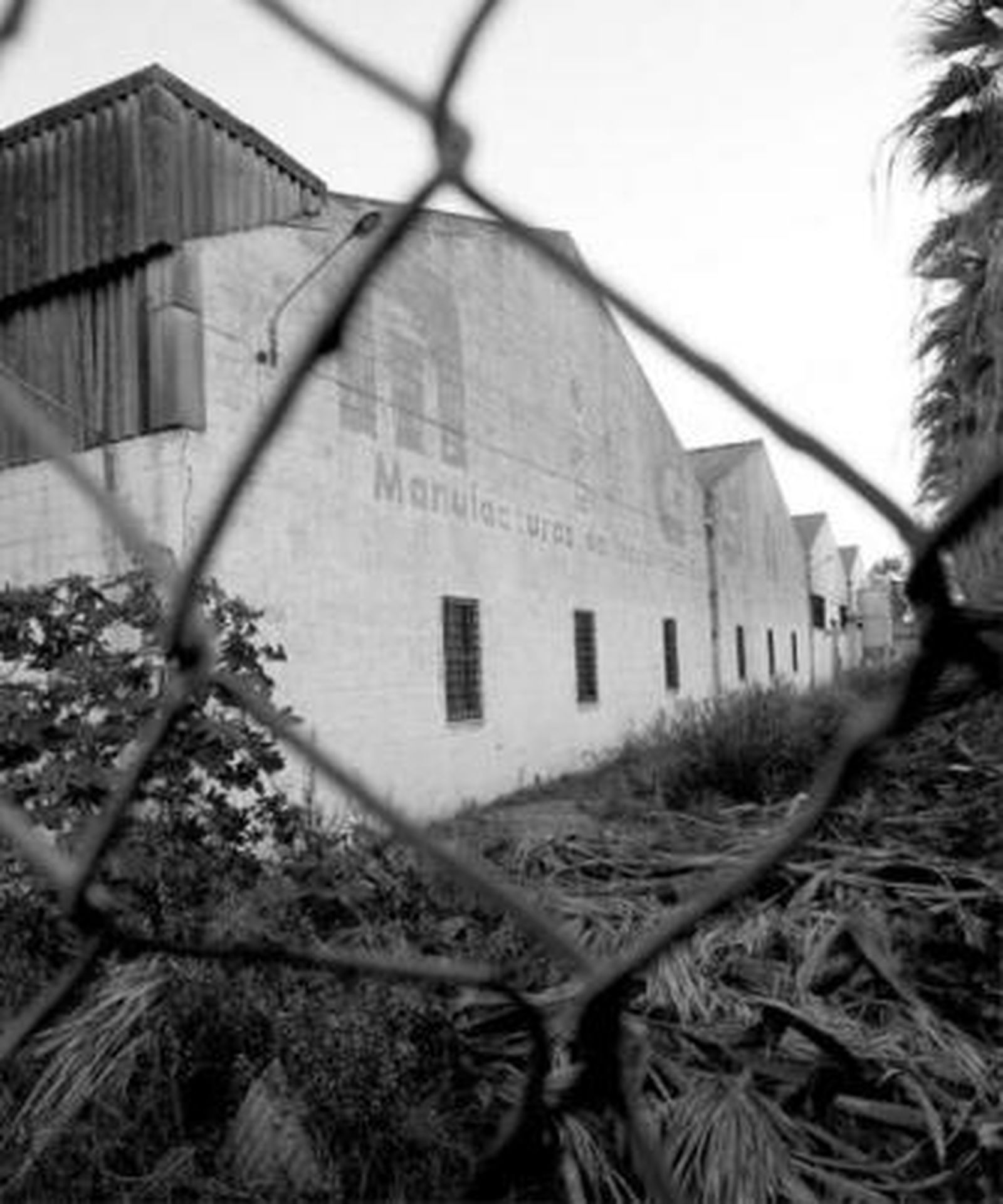 Imagen de la fábrica, situada en la Carretera de las Industrias.