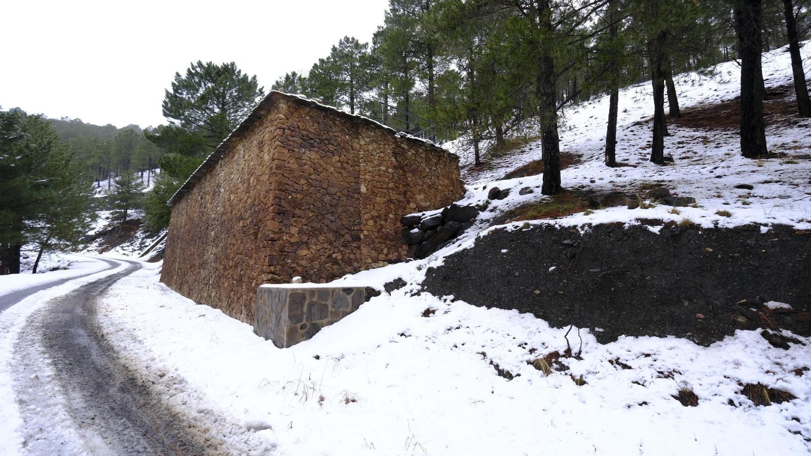 Zona del Puerto de la Ragua.