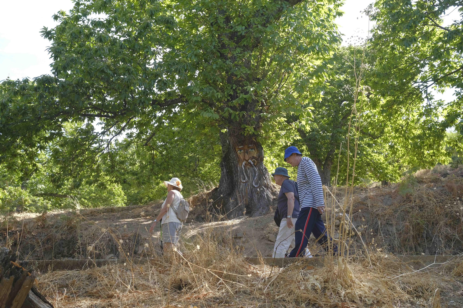 El Bosque Encantado, en fotos