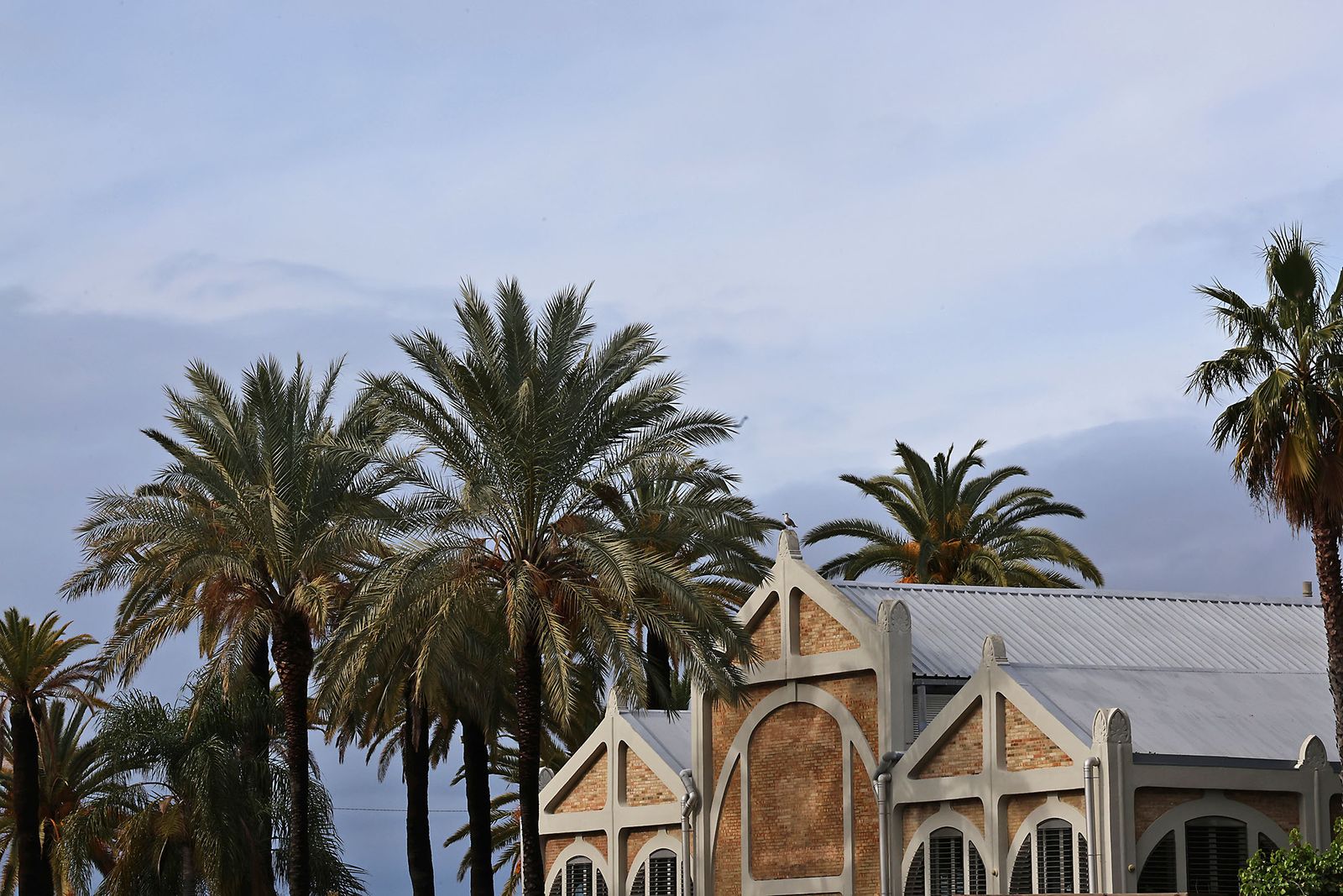 Último domingo de 2025: Ambiente y tiempo inestable marcan los preparativos de fin de año