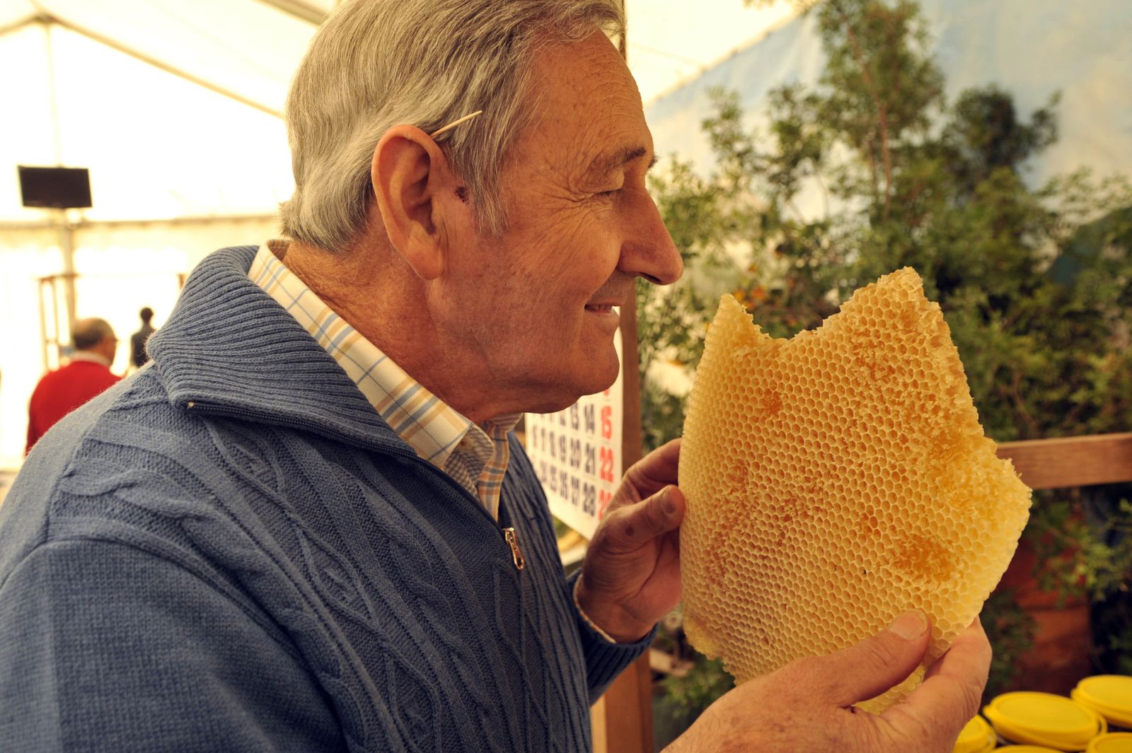 Un visitante oliendo un panel de abejas, en una edición anterior.