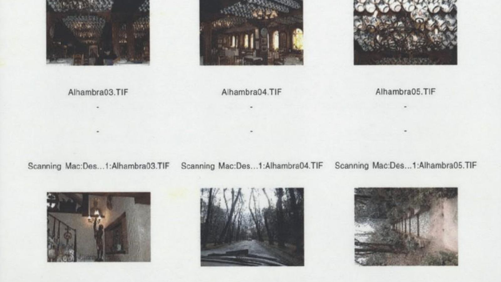 También tomó otras fotografías del restaurante Ruta del Veleta o del Bosque de la Alhambra