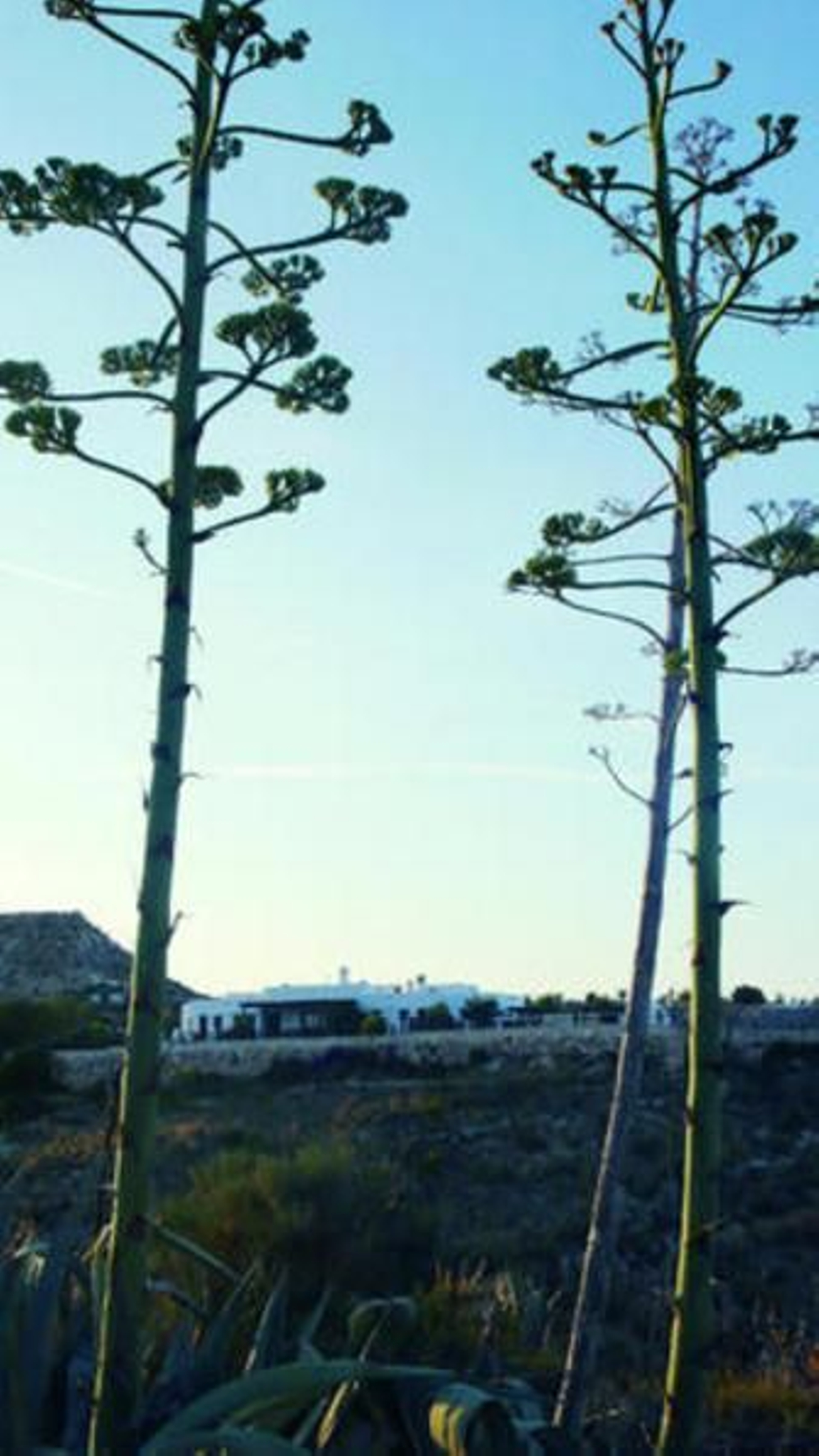 Casa rural Cerro La GorraDonde los sentidos se sumergen en la naturaleza