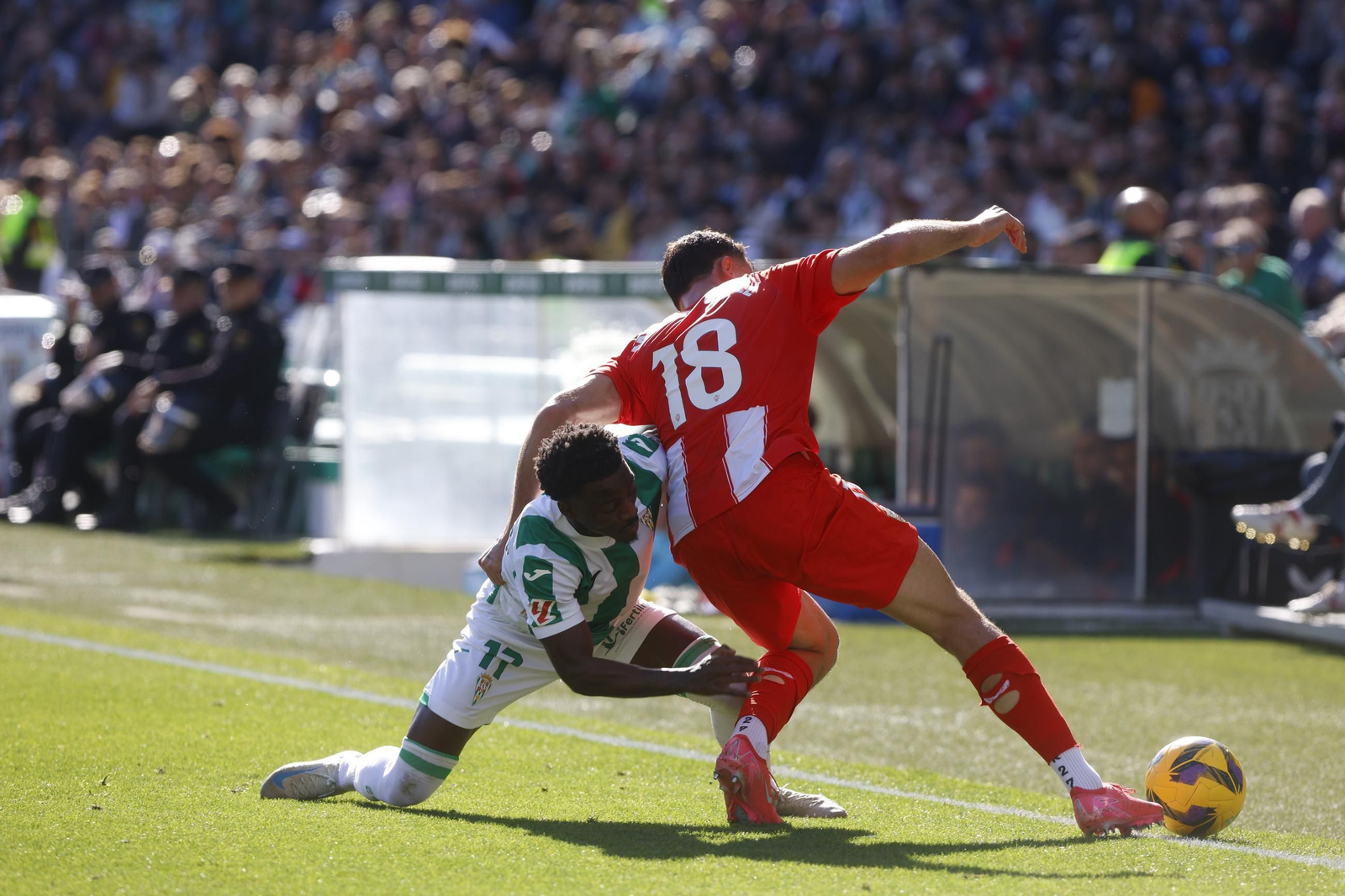 Las mejores fotos del ambiente en el Córdoba CF - Almería en El Arcángel