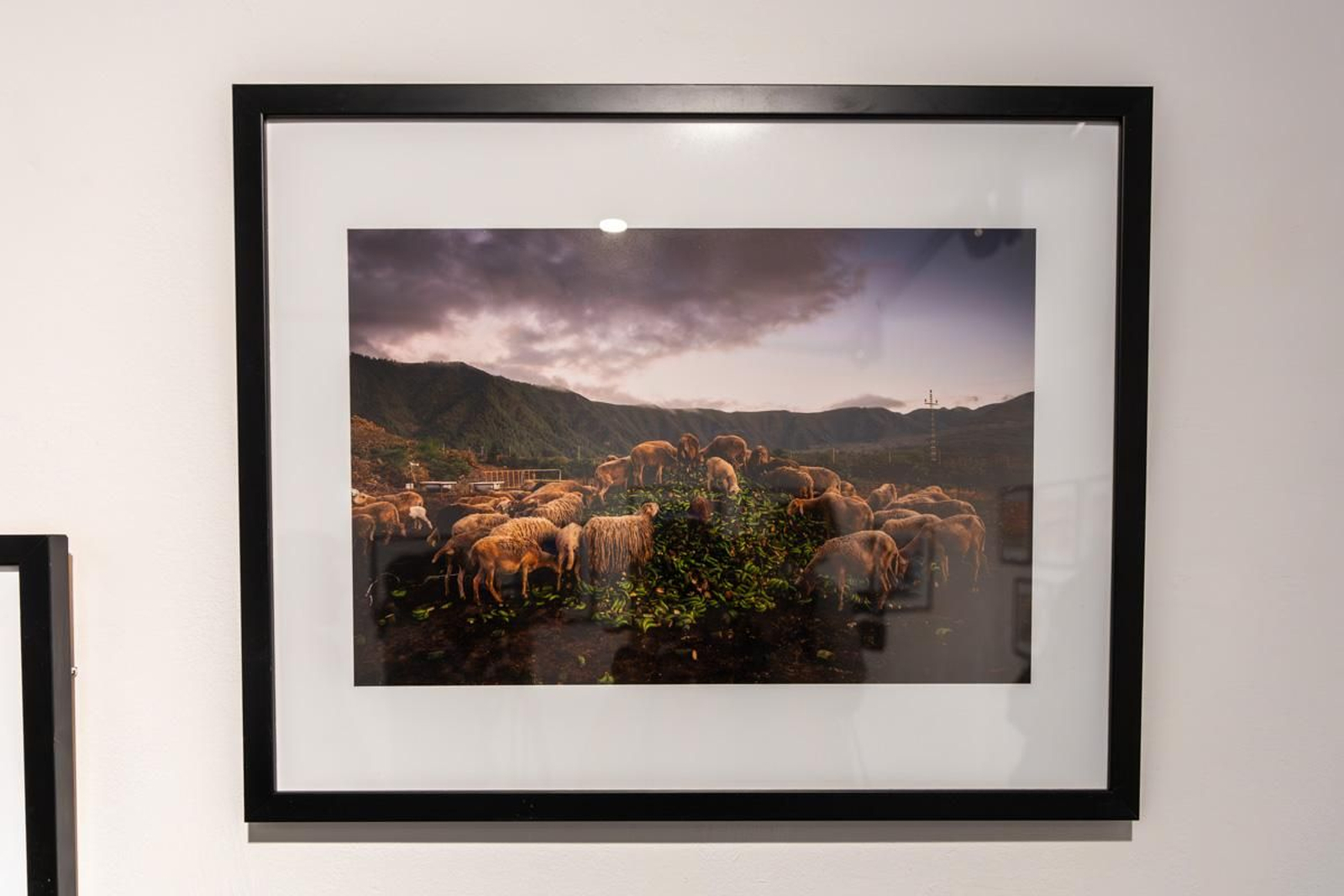 Exposición La Tierra, corazón de la vida, en imágenes