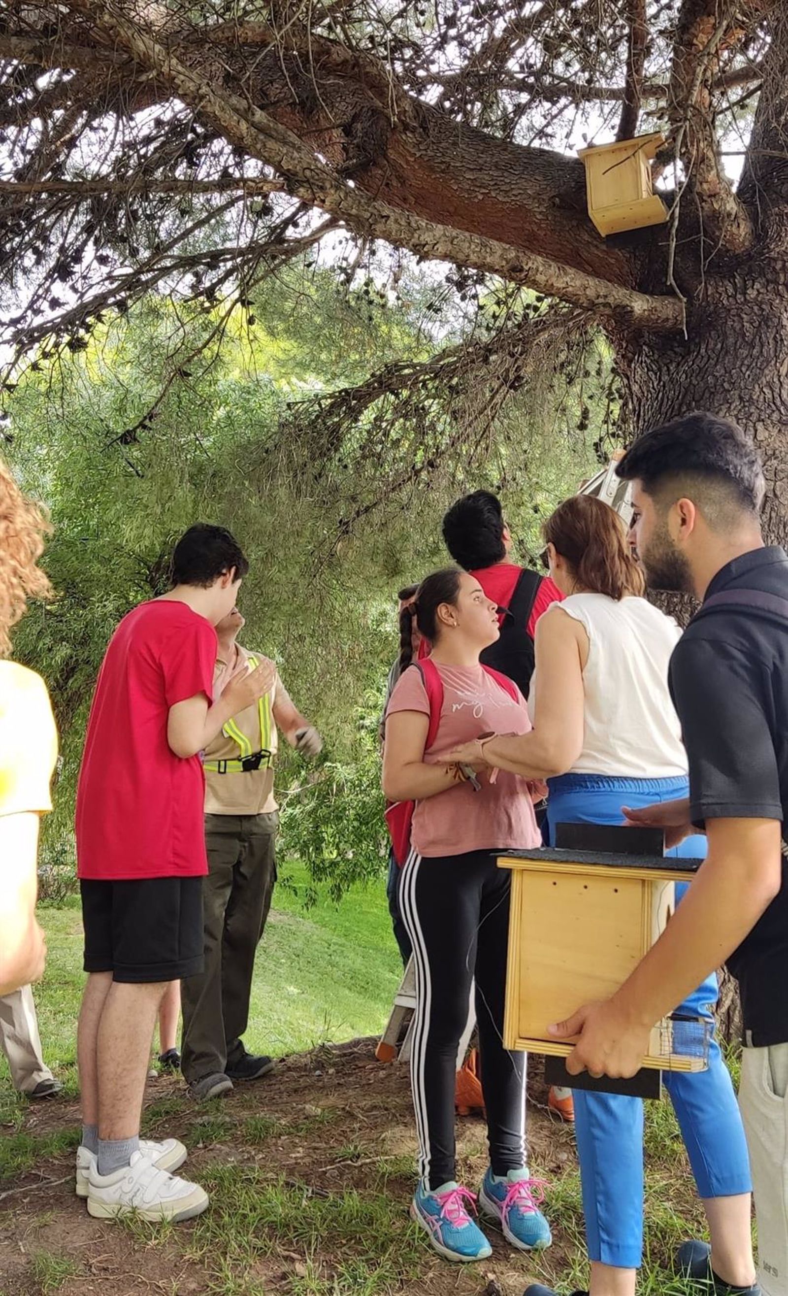 Casetas nido para ardillas en el Parque del Seminario de Jaén