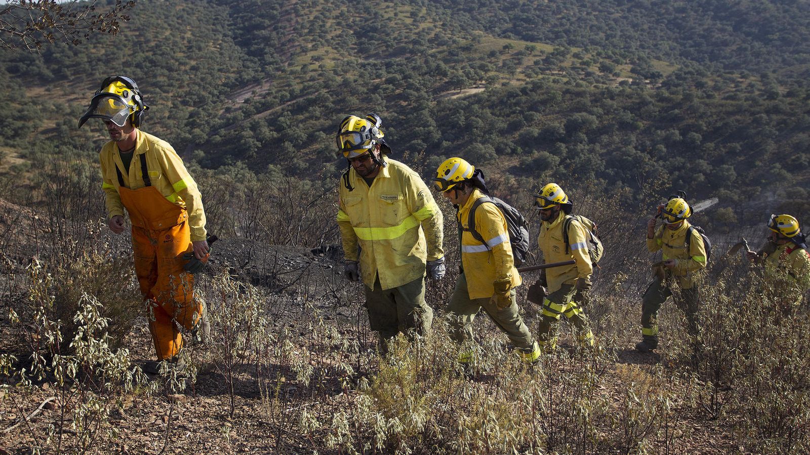 Varios bomberos forestales caminan hacia la zona afectada.