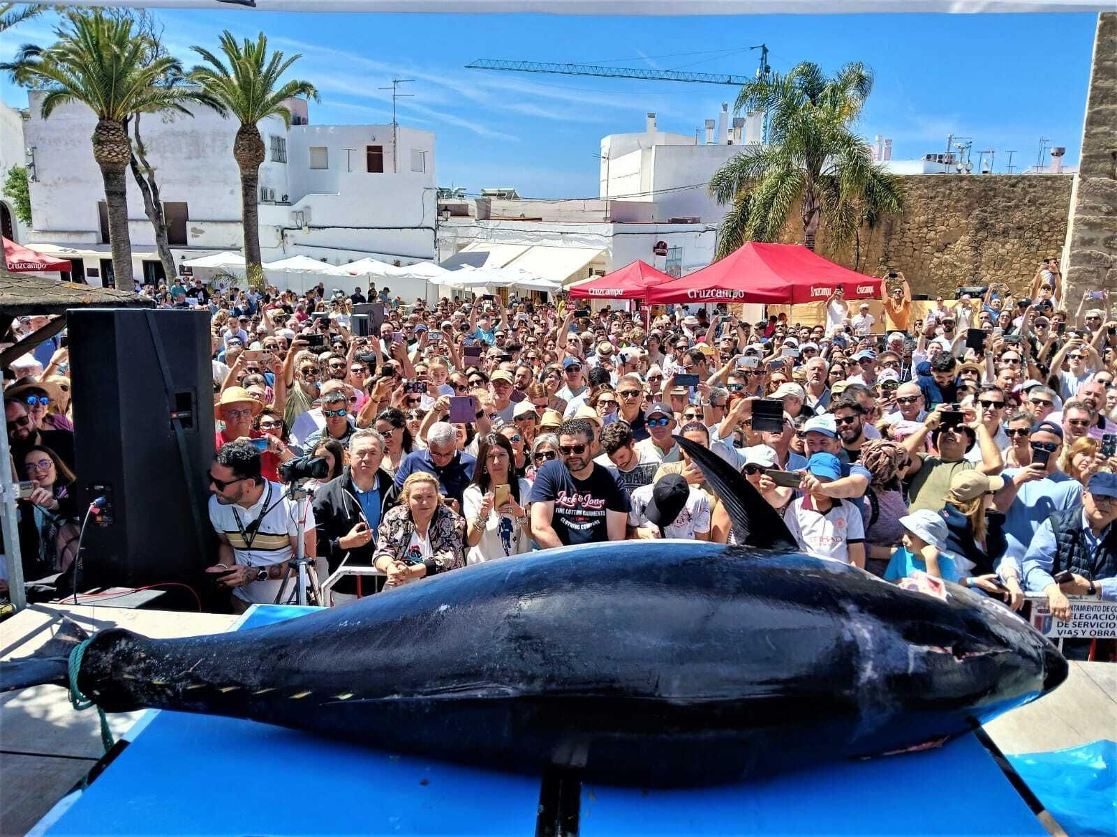 Semana del Atún de Conil