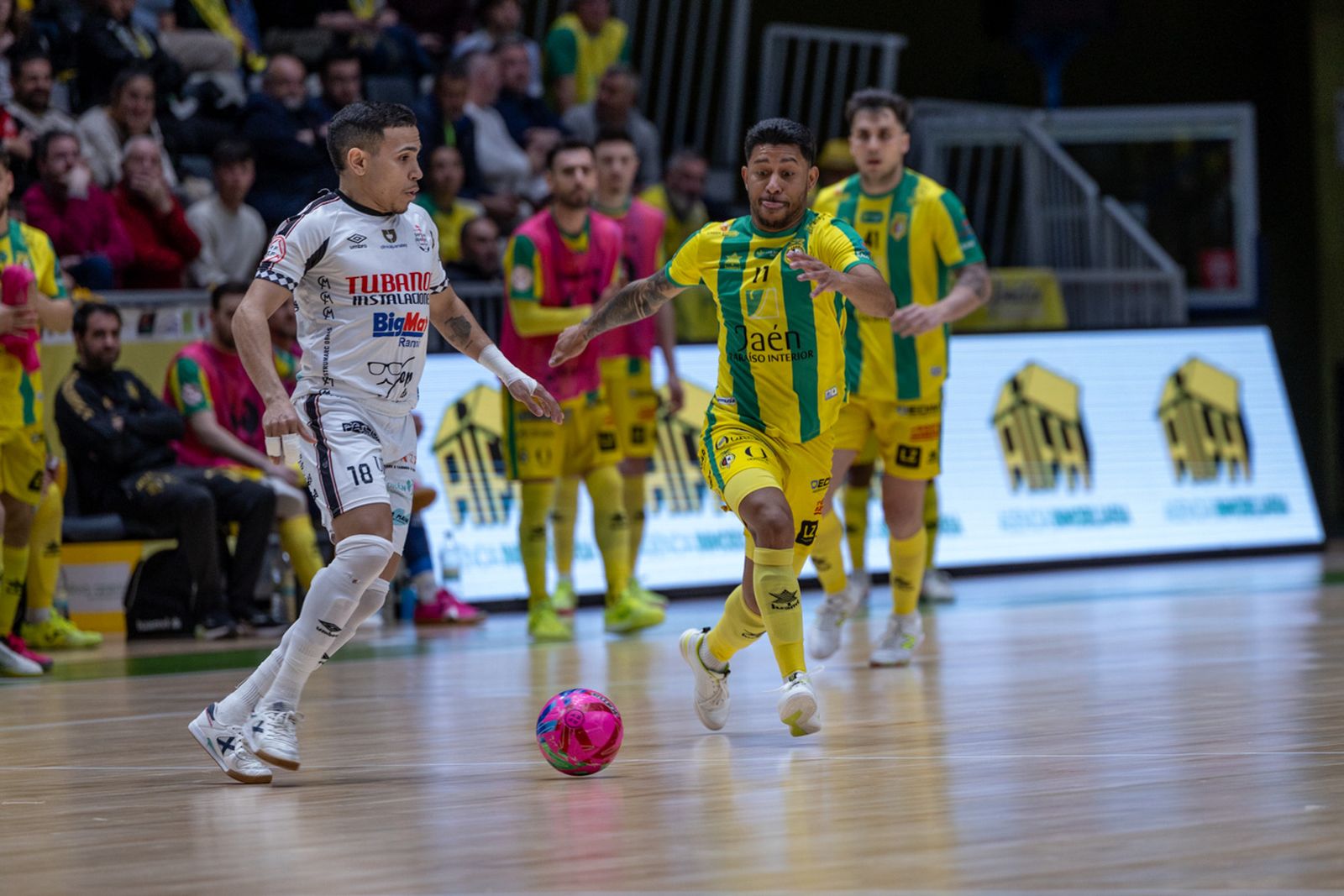 Las mejores imágenes de las tablas entre Jaén Paraíso Interior FS y Noia Portus Apostoli