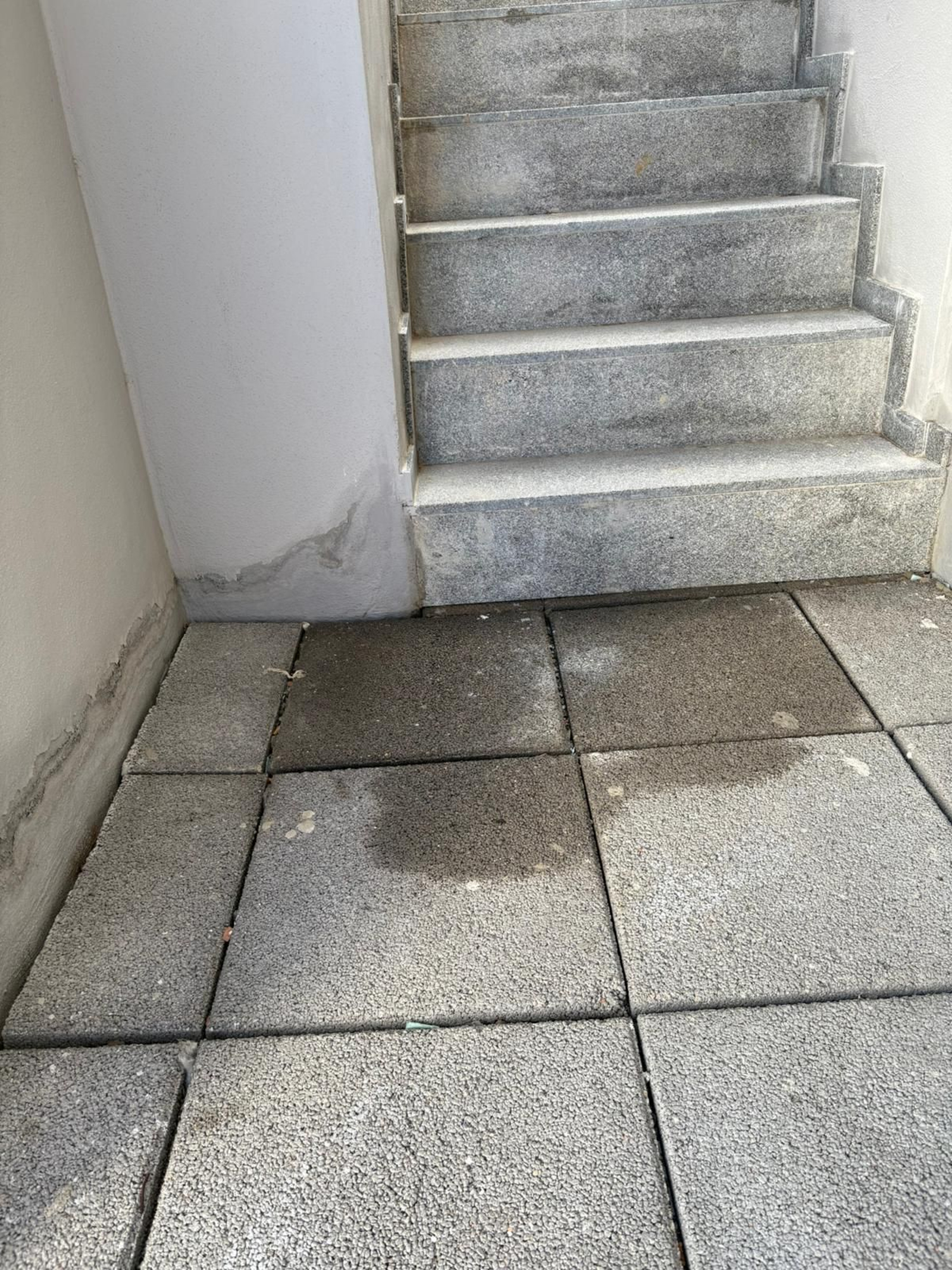 Humedades acumuladas, cuatro días después de que haya dejado de llover.