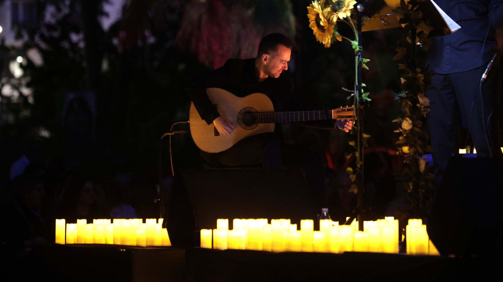 Las fotos del concierto de Diego Valdivia en el parque María Cristina