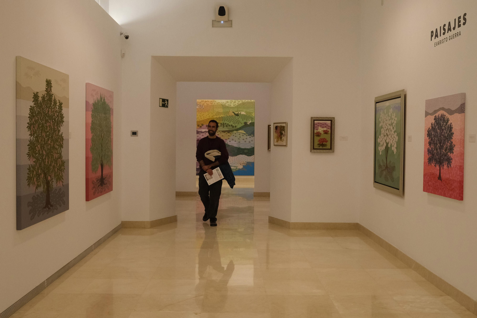 La exposición de Evaristo Guerra 'Paisajes', en fotos