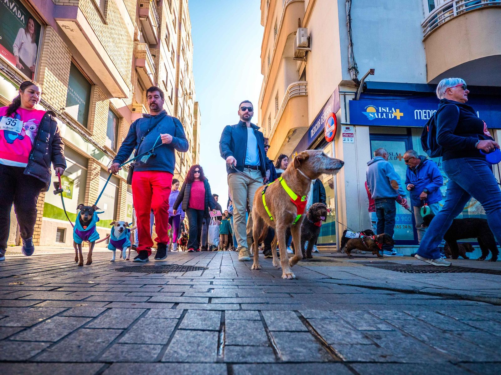 Las imágenes de San Antón 2025 en San Fernando