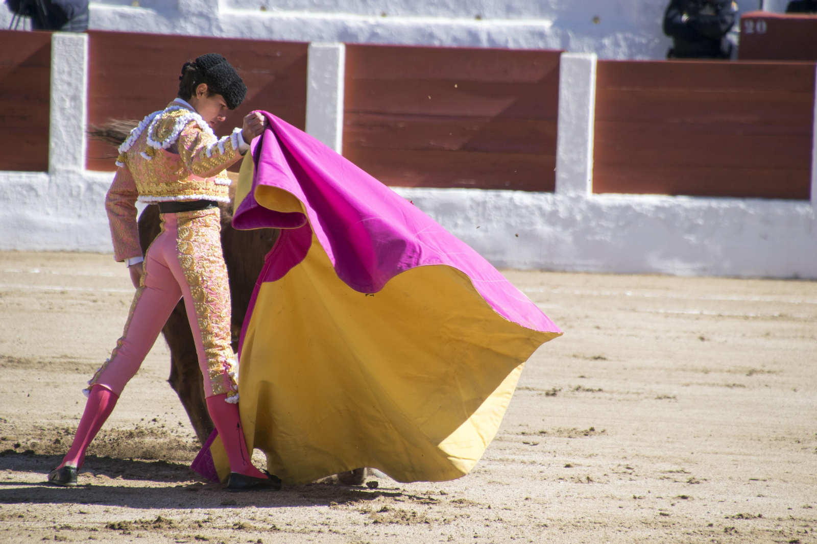 El triunfo del novillero Manuel Román en Linares, en imágenes