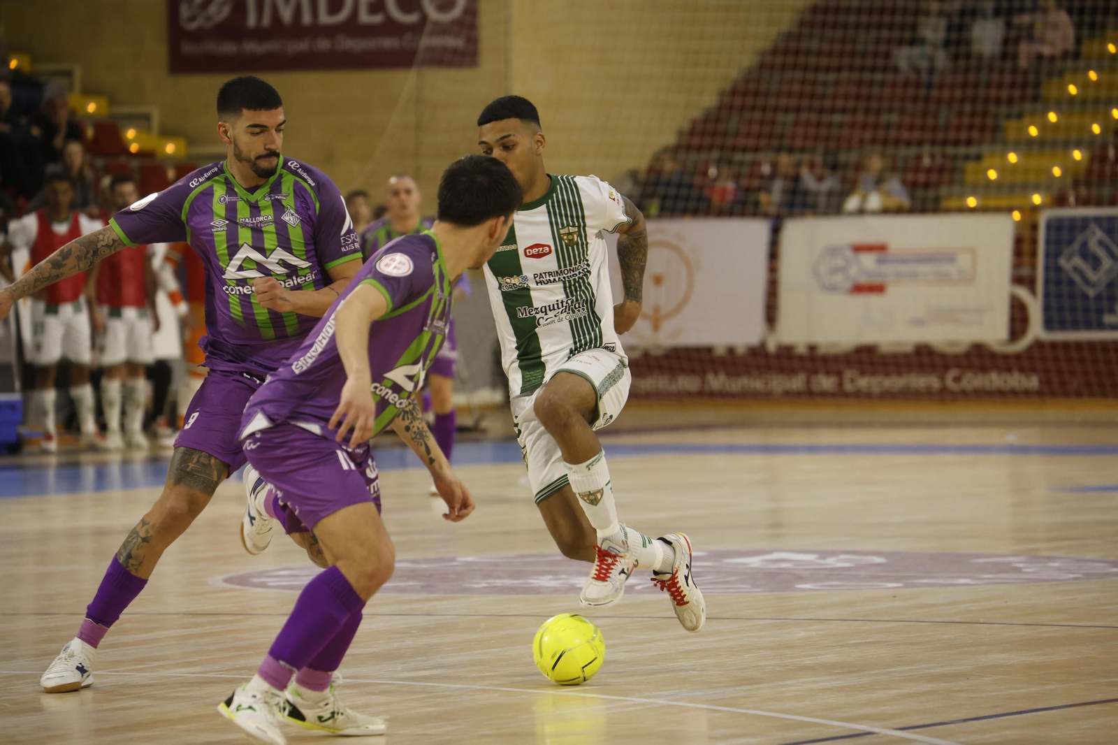 Las mejores fotos del ambiente en Vista Alegre para el Córdoba Futsal - Palma.