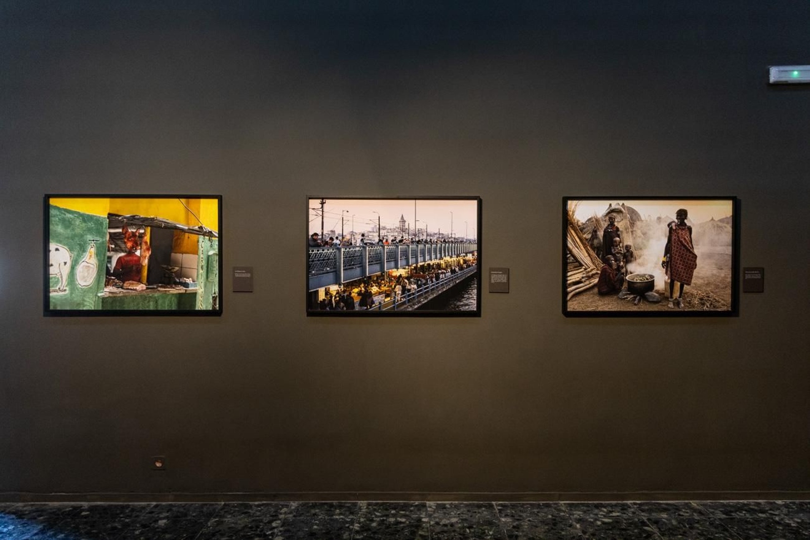 One Health en imágenes: la fotogalería de Katy Gómez que te hará reflexionar sobre la salud global