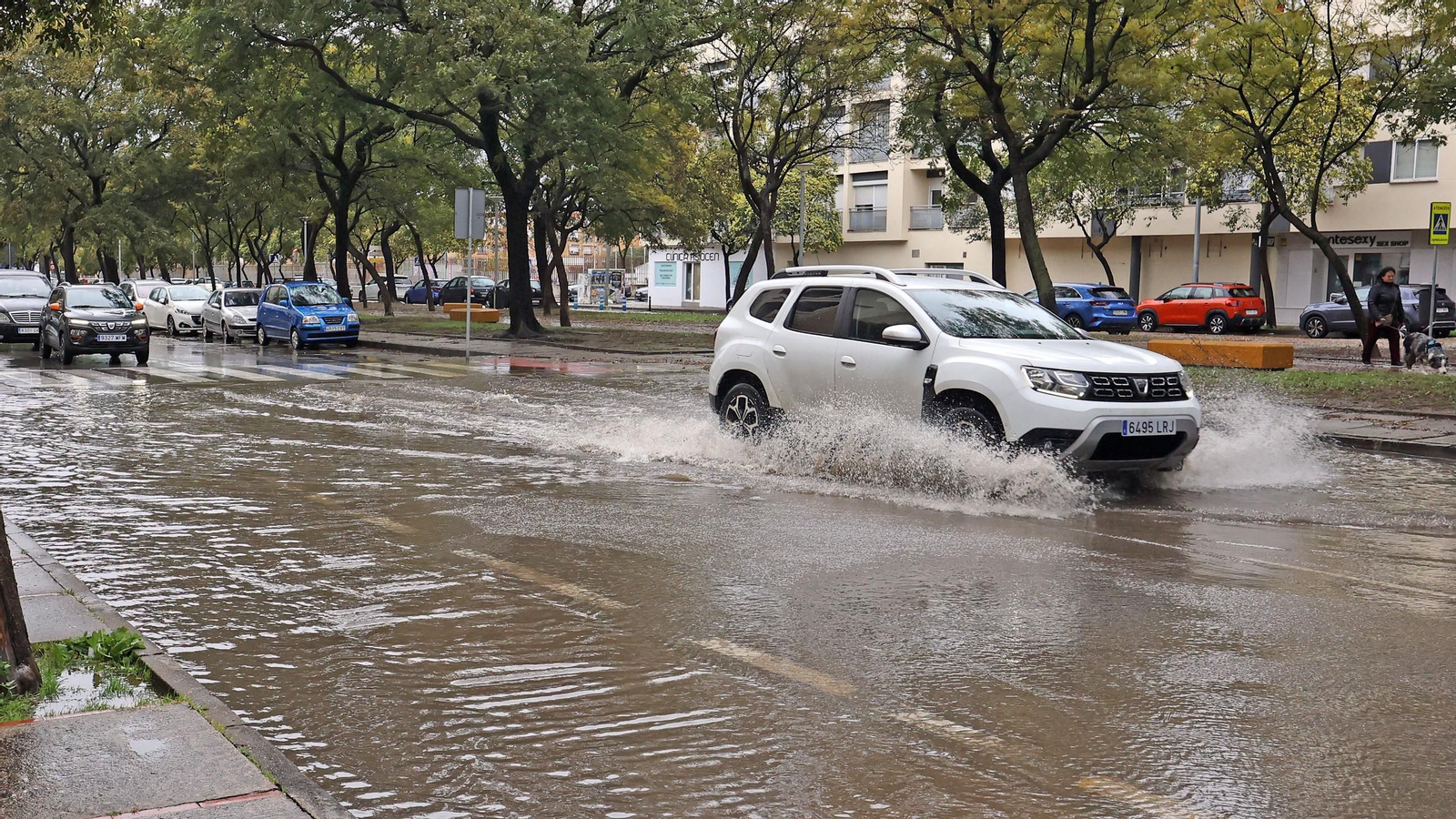 Imágenes del temporal de viento y lluvia en Jerez