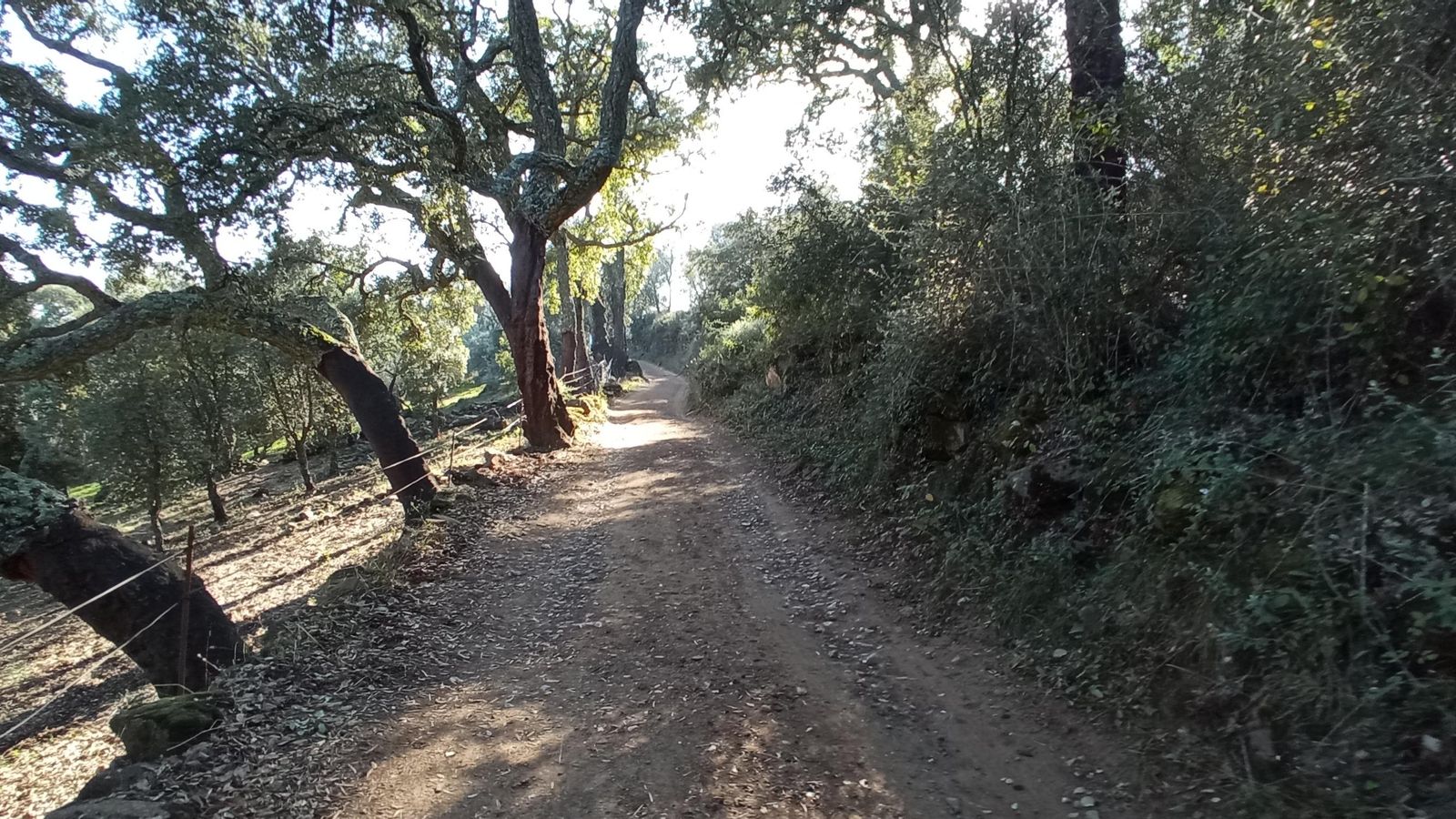 Últimos compases de la ruta