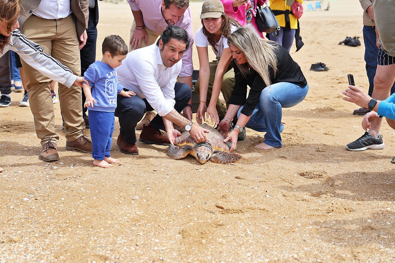 Imágenes de la suelta de una tortuga marina boba recuperada en el CEGMA de Algeciras