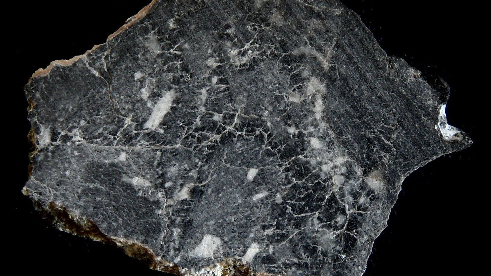 Imagen interior del meteorito Dar al Gani 400: rocoso, acondrita, anortosita lunar; cayó en Libia y fue hallado en 1998.