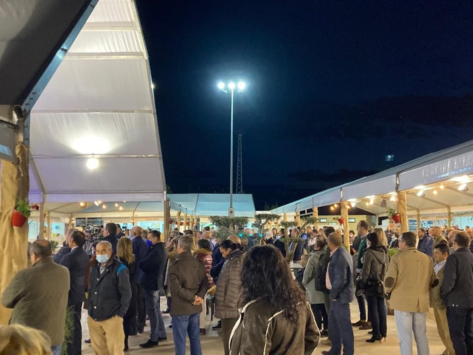 La inauguración de la Feria del Vino de Tinaja en Montalbán, en imágenes