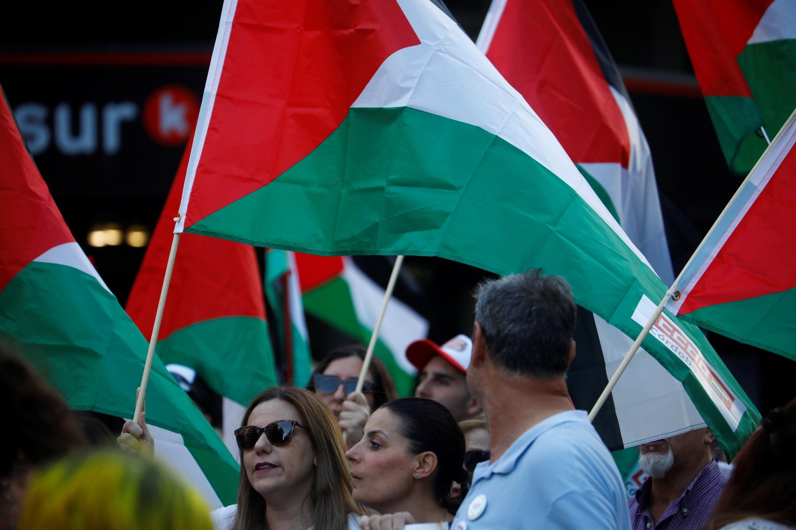 Las imágenes de la manifestación de Córdoba por Gaza