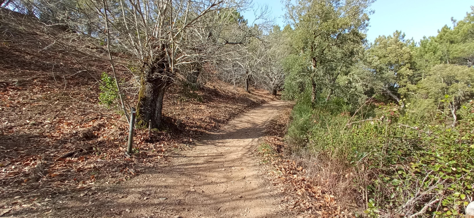 Las imágenes de la ruta de la Dehesa de Valdelama: De Los Marines a Fuenteheridos y vuelta