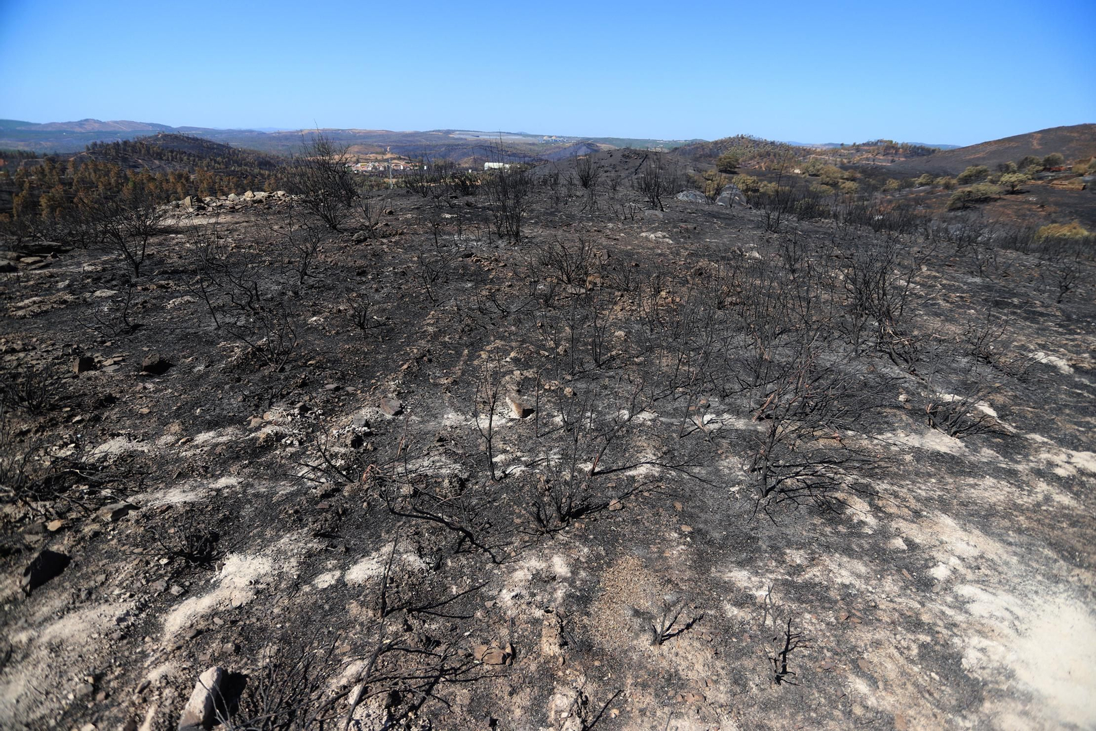 Imágenes de las zonas devastadas por el incendio de Almonaster la Real