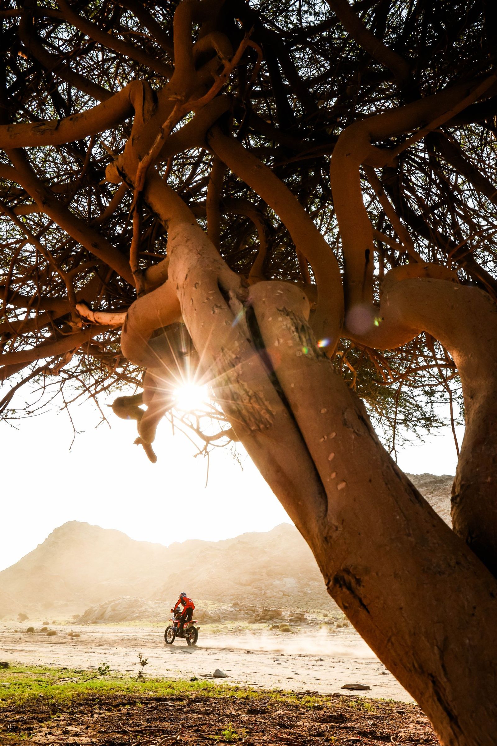 Las mejores fotos del Rally Dakar | Primera etapa