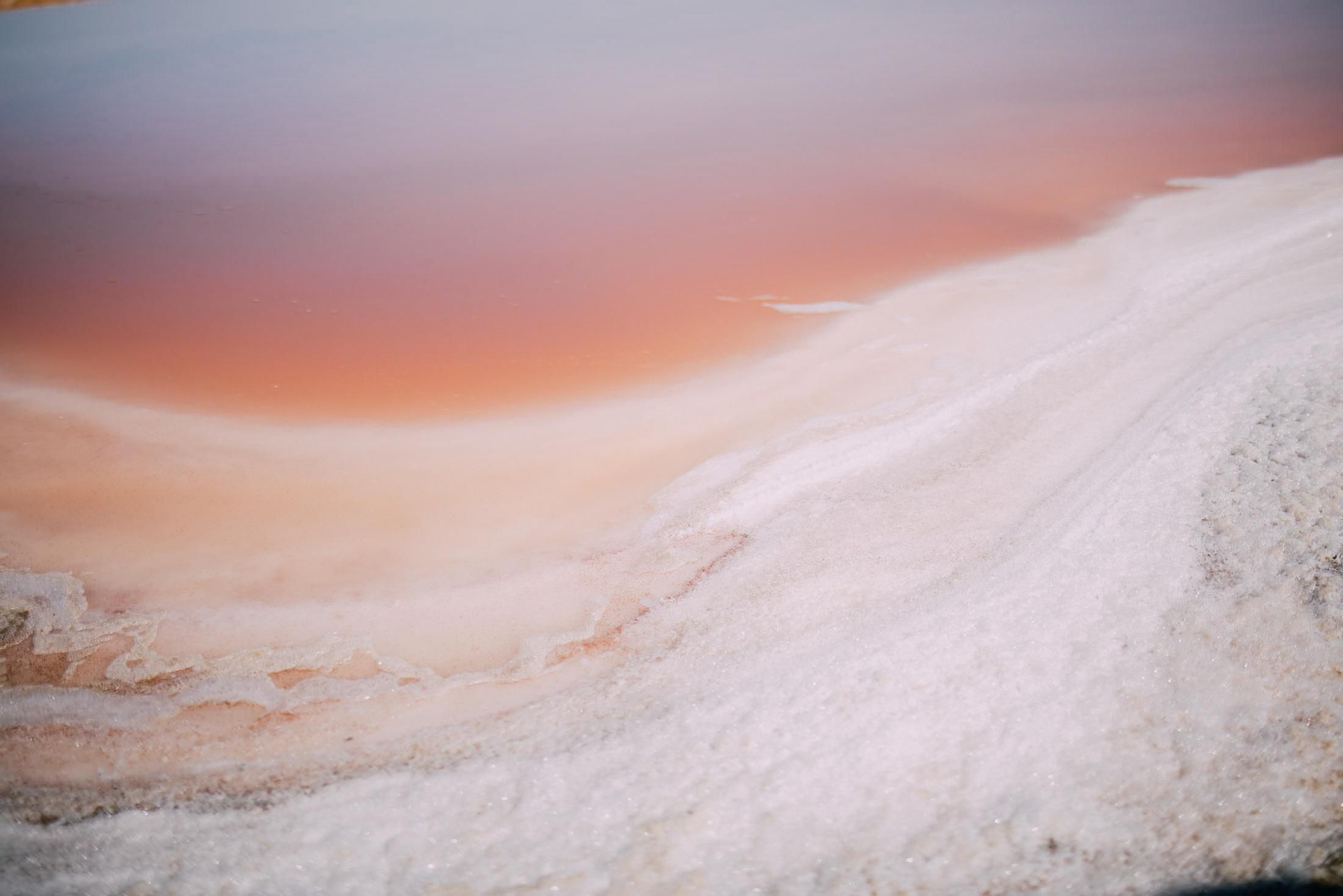 Un recorrido fotográfico por el Paraje Natural Marismas del Odiel